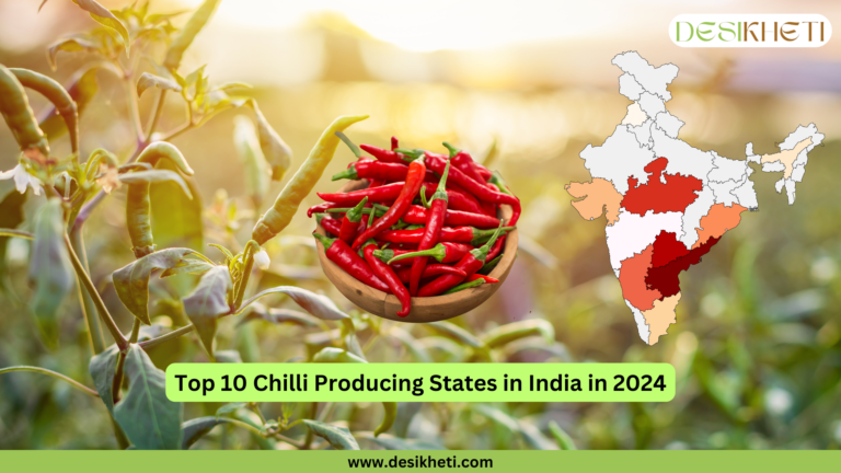 A bowl of red Chillies in the foreground with green chilli plants in the background. On the right side, a color-coded map of India highlights the top 10 Mirchi producing states. The Desikheti logo is in the top right corner, and the website URL "www.desikheti.com" is at the bottom. The title reads "Top 10 Chilli Producing States in India in 2024.