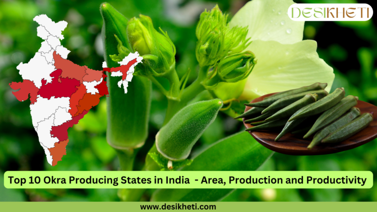 A text "Top 10 okra-producing states in India - Area, Production and Productivity" is written in centre of image along with a map highlighting key regions and a close-up of okra plants and pods. DesiKheti logo and website www.desikheti.com displayed at the top and bottom of the image.