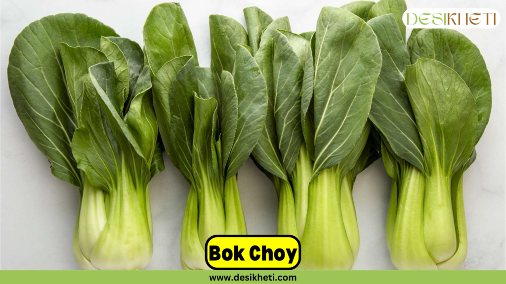 Fresh bok choy bunches arranged in a row on a light background, showcasing their green leafy tops and crisp white stalks. The text 'Bok Choy' is highlighted in a bold, yellow-highlighted box at the bottom center. The Desikheti logo is positioned at the top right corner, and the website URL www.desikheti.com is displayed at the bottom of the image.