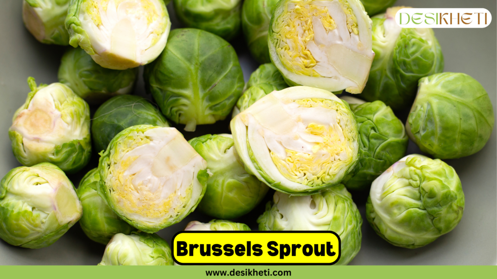 Fresh Brussels sprouts displayed in a pile, with some whole and others cut in half to reveal their tightly packed, yellow-green layers. The text 'Brussels Sprout' is prominently shown in a bold, yellow-highlighted box at the bottom center. The Desikheti logo is located at the top right corner, and the website URL www.desikheti.com is displayed at the bottom of the image.