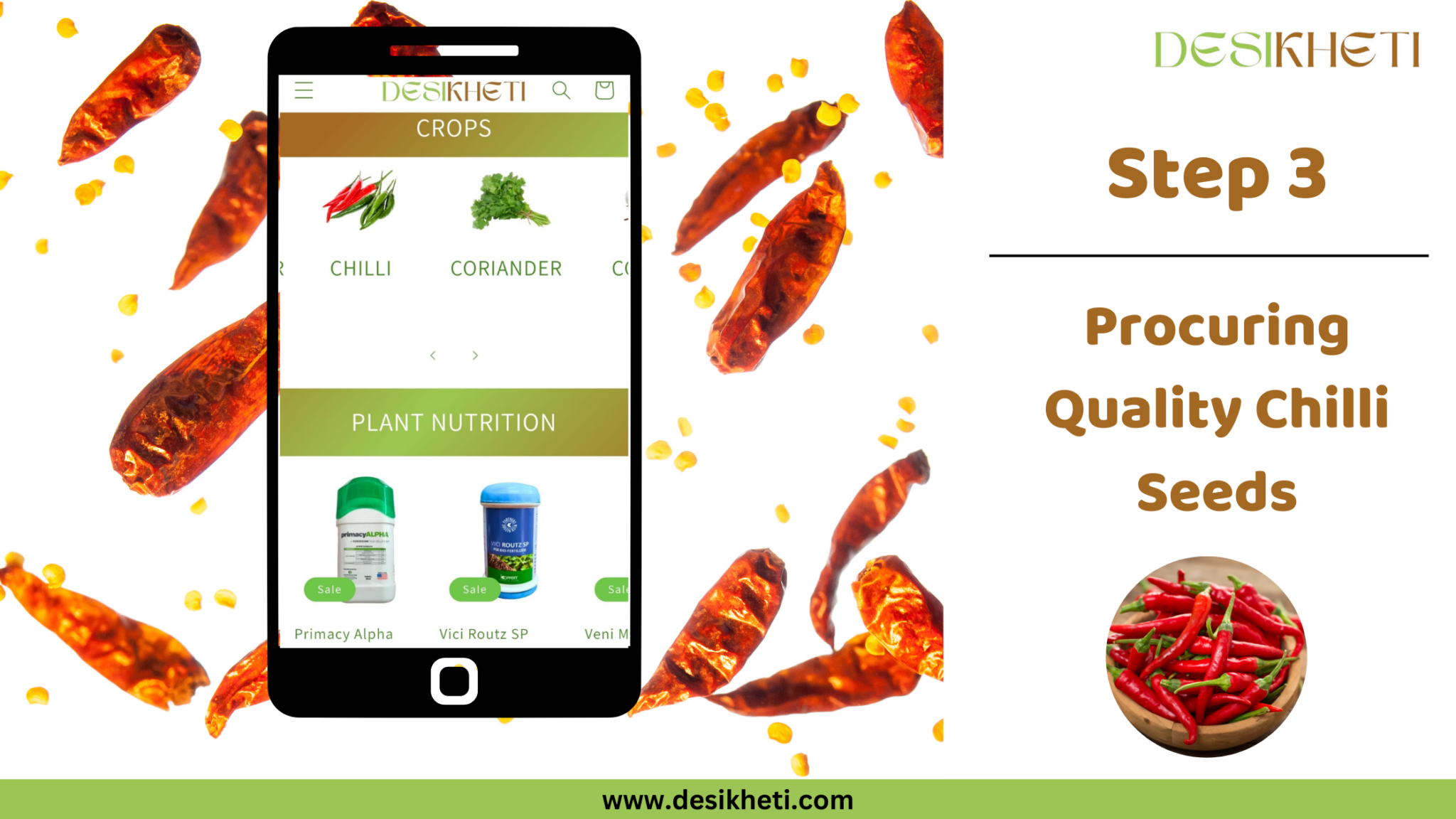 Ultimate Chilli Seed Sowing Guide - Sow Chilli Seeds in 7 Easy Steps