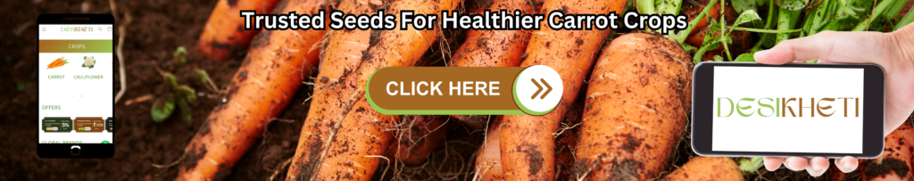 Promotional banner featuring freshly harvested carrots with soil in the background. The text "Trusted Seeds For Healthier Carrot Crops" is displayed in bold black letters at the top. On the left, a smartphone shows the Desikheti website with crops like carrots and cauliflower. On the right, another smartphone displays the Desikheti logo. A "CLICK HERE" button is prominently placed in the center.