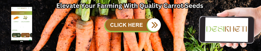 A promotional banner featuring fresh carrots with green tops on soil. On the left, a mobile phone screen displays the Desikheti website showing crops like carrot and cauliflower. On the right, a hand holds a smartphone with the Desikheti logo displayed. The text 'Elevate Your Farming With Quality Carrot Seeds' is prominently written at the top, and a large 'Click Here' button with an arrow is in the center, inviting action.