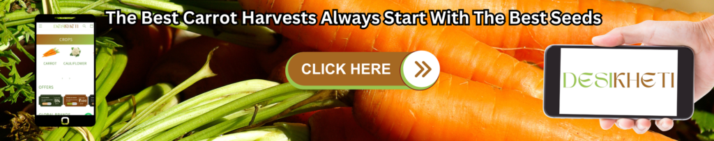 Promotional banner featuring fresh carrots in the background with the text "The Best Carrot Harvests Always Start With The Best Seeds" in bold black letters. A smartphone displays the Desikheti website with crops like carrots and cauliflower, while another phone shows the Desikheti logo. A large "CLICK HERE" button is prominently placed in the center.