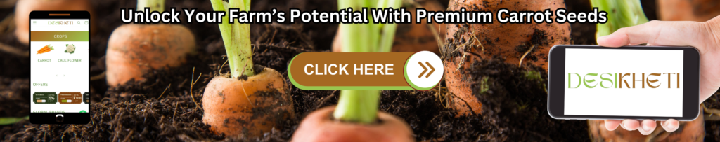 Promotional banner showcasing carrots in soil with the text "Unlock Your Farm’s Potential With Premium Carrot Seeds" in bold black letters. On the left, a smartphone displays the Desikheti website featuring crops like carrots and cauliflower. On the right, another smartphone displays the Desikheti logo. A "CLICK HERE" button is placed in the center.