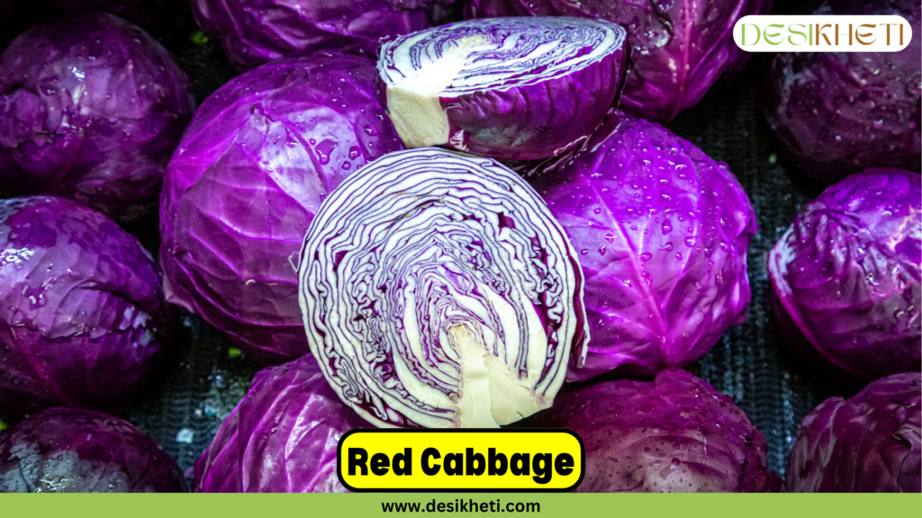 Several fresh Red Cabbages are displayed, with one cabbage cut in half to reveal its vibrant purple inner layers and intricate pattern. The text 'Red Cabbage' is written in bold black font on a yellow text box at the bottom center. The Desikheti logo is positioned at the top right, and the website URL www.desikheti.com is shown at the bottom of image beneath the yellow text box.