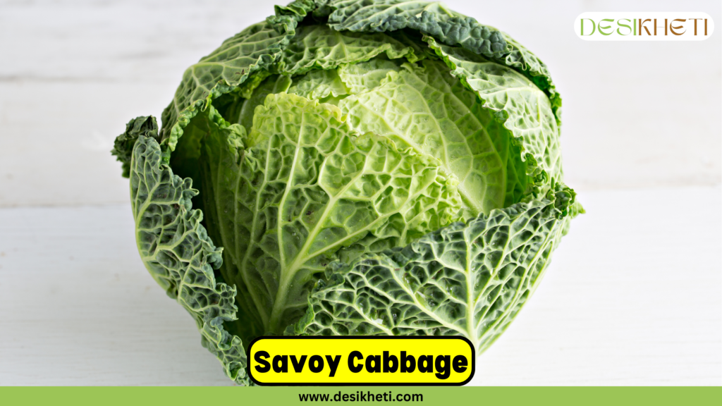 Close-up of a fresh savoy cabbage with crinkled green leaves placed on a light wooden surface. The text 'Savoy Cabbage' is prominently displayed in a bold, yellow-highlighted box at the bottom center. The Desikheti logo is positioned at the top right corner, and the website URL www.desikheti.com is shown at the bottom of the image.