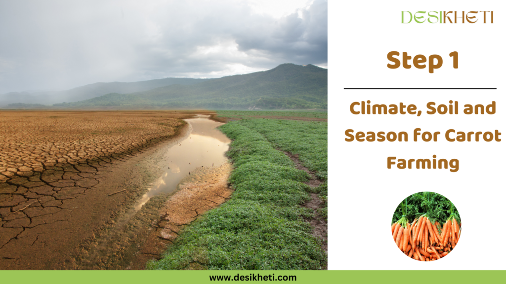 Landscape of cracked dry soil with a narrow water stream surrounded by green fields and mountains under a cloudy sky. On the right, the text 'Step 1: Climate, Soil and Season for Carrot Farming' is displayed, along with the Desikheti logo at the top and a circular image of fresh orange carrots at the bottom. Website URL 'www.desikheti.com' is shown on a green footer.