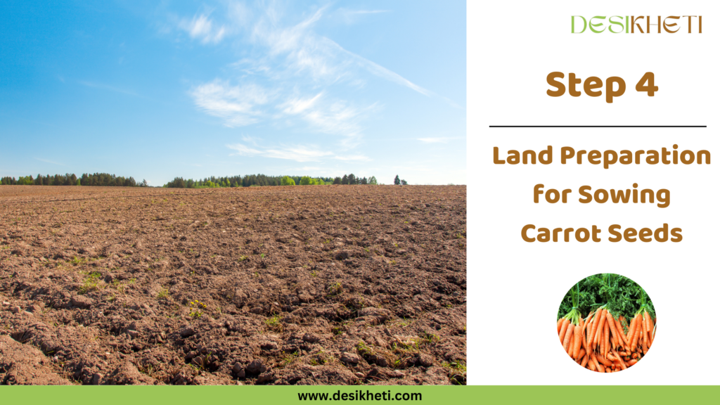 Step 4 of land preparation for sowing carrot seeds, featuring a large tilled agricultural field under a clear blue sky. On the right, the "Desikheti" logo is displayed at the top, followed by the bold text "Step 4" and the description "Land Preparation for Sowing Carrot Seeds." At the bottom, there is an image of freshly harvested carrots with green tops. The website URL "www.desikheti.com" is displayed at the bottom of the image.