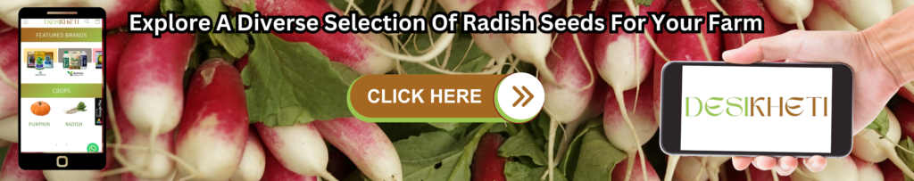 A promotional banner features fresh radishes in the background with green leaves. The text at the top reads, "Explore A Diverse Selection Of Radish Seeds For Your Farm." In the center, there is a brown and green button labeled "CLICK HERE" with a right-facing arrow. On the left, an illustration of a smartphone screen displays the Desikheti website, showing featured brands and crop options like pumpkin and radish. On the right, a hand holds a smartphone displaying the Desikheti logo.