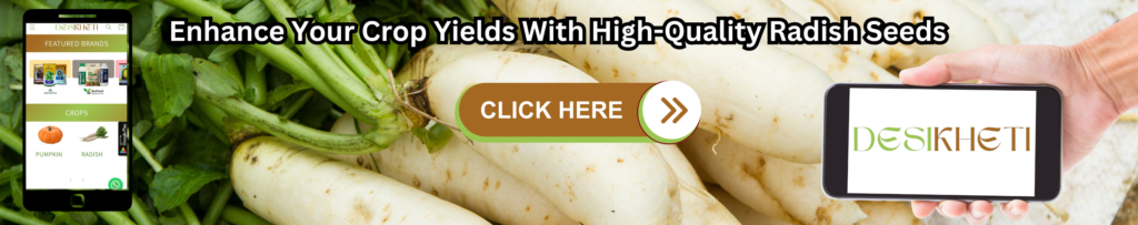 A promotional banner showcasing fresh white radishes with green leaves in the background. The text at the top reads, "Enhance Your Crop Yields With High-Quality Radish Seeds." In the center, a brown and green button labeled "CLICK HERE" with a right-facing arrow invites action. On the left, an illustration of a smartphone screen displays the Desikheti website, highlighting featured brands and crop options like pumpkin and radish. On the right, a hand holds a smartphone showing the Desikheti logo.