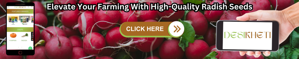 A promotional banner featuring fresh red radishes with green leaves in the background. The text at the top states, "Elevate Your Farming With High-Quality Radish Seeds." In the center, a brown and green button labeled "CLICK HERE" with a right-facing arrow encourages action. On the left, an illustration of a smartphone screen displays the Desikheti website, showing featured brands and crop options like pumpkin and radish. On the right, a hand holds a smartphone displaying the Desikheti logo.