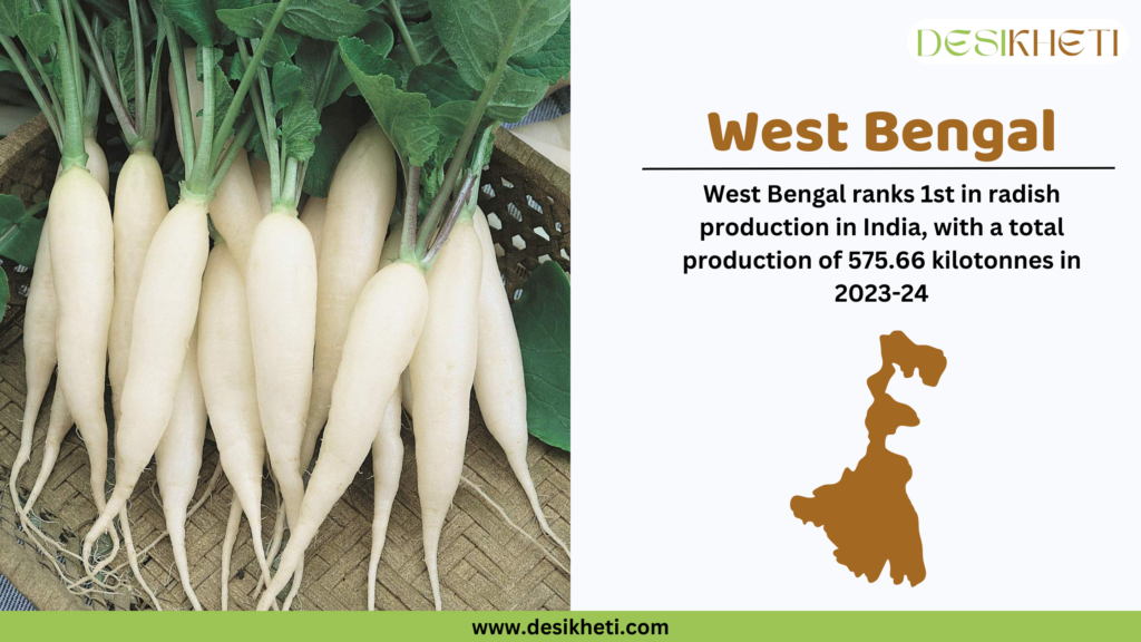 Fresh white radishes with green leaves are neatly arranged in a woven basket. On the right side, a text box with the Desikheti logo at the top provides information about radish production in West Bengal. The heading "West Bengal" is written in bold brown letters, followed by the text: "West Bengal ranks 1st in radish production in India, with a total production of 575.66 kilotonnes in 2023-24." Below this text, there is a brown silhouette map of West Bengal. At the bottom, a green banner contains the website URL: "www.desikheti.com".