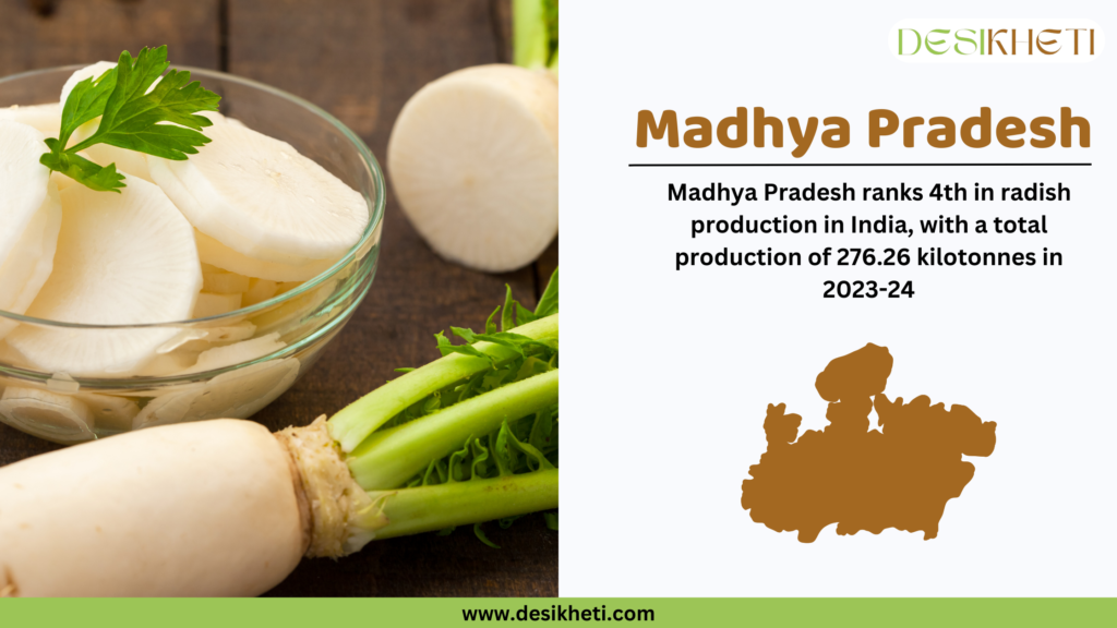 Several fresh radishes with green leaves are displayed on a wooden surface, along with a glass bowl filled with sliced radish. The right side of the image contains text in bold brown font stating "Madhya Pradesh." Below it, additional text reads, "Madhya Pradesh ranks 4th in radish production in India, with a total production of 276.26 kilotonnes in 2023-24." A brown silhouette map of Madhya Pradesh is shown beneath the text. The Desikheti logo is positioned at the top right, and the website URL www.desikheti.com is displayed on a green-colored stripe at the bottom.