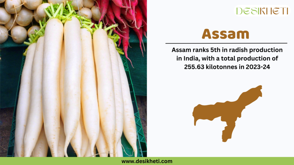 Several fresh white radishes with green tops are neatly arranged on a green plastic crate, with round and red radishes in the background. The right side of the image contains text in bold brown font stating "Assam." Below it, additional text reads, "Assam ranks 5th in radish production in India, with a total production of 255.63 kilotonnes in 2023-24." A brown silhouette map of Assam is shown beneath the text. The Desikheti logo is positioned at the top right, and the website URL www.desikheti.com is displayed on a green-colored stripe at the bottom.