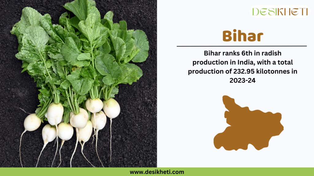 Freshly harvested round white radishes with lush green leaves are laid on dark, fertile soil. The right side of the image contains text in bold brown font stating "Bihar." Below it, additional text reads, "Bihar ranks 6th in radish production in India, with a total production of 232.95 kilotonnes in 2023-24." A brown silhouette map of Bihar is shown beneath the text. The Desikheti logo is positioned at the top right, and the website URL www.desikheti.com is displayed on a green-colored stripe at the bottom.