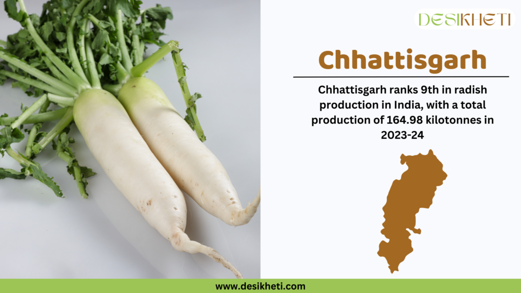 Fresh white radishes with green leaves placed on a white surface. On the right side, the heading "Chhattisgarh" is written in bold brown text, followed by the statement "Chhattisgarh ranks 9th in radish production in India, with a total production of 164.98 kilotonnes in 2023-24." Below this, a brown silhouette map of Chhattisgarh is displayed. The "Desikheti" logo is placed at the top right corner. At the bottom, a green bar contains the website URL "www.desikheti.com."