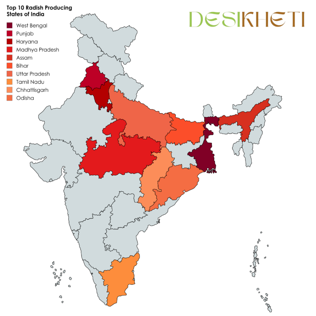 A color-coded map of India highlighting the top 10 radish-producing states. The states are marked in different shades, with a legend in the top-left corner listing the states: West Bengal, Punjab, Haryana, Madhya Pradesh, Assam, Bihar, Uttar Pradesh, Tamil Nadu, Chhattisgarh, and Odisha. The Desikheti logo is displayed in the top-right corner. The rest of India is shown in grey, while the highlighted states are in various shades of red, orange, and maroon.