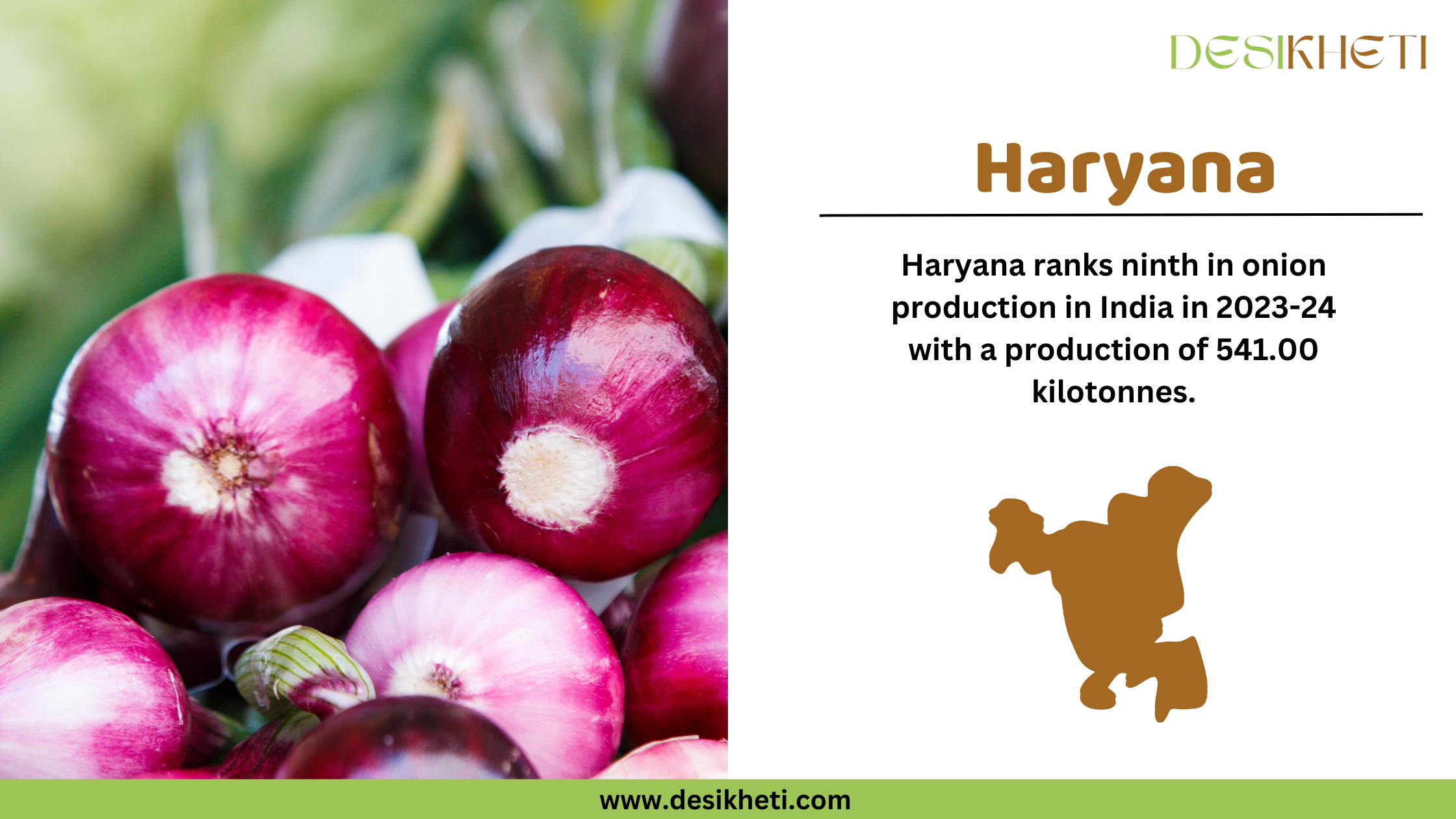 Fresh red onions in a basket with green leaves in the background. On the right side, text reads "Haryana" in bold brown letters. Below, it states "Haryana ranks ninth in onion production in India in 2023-24 with a production of 541.00 kilotonnes." A brown silhouette of Haryana's map is placed below the text. The Desikheti logo is in the top right corner, and the website URL "www.desikheti.com" is displayed at the bottom.