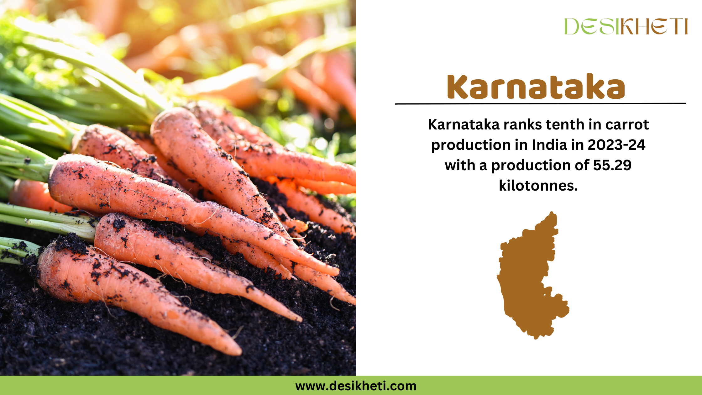 A Desikheti infographic about Karnataka’s carrot production. The left side features freshly harvested carrots covered in soil. The right side has text stating, "Karnataka ranks tenth in carrot production in India in 2023-24 with a production of 55.29 kilotonnes." Below the text, there is a brown silhouette of Karnataka. The Desikheti logo is at the top, and the website URL "www.desikheti.com" is displayed at the bottom on a green strip.