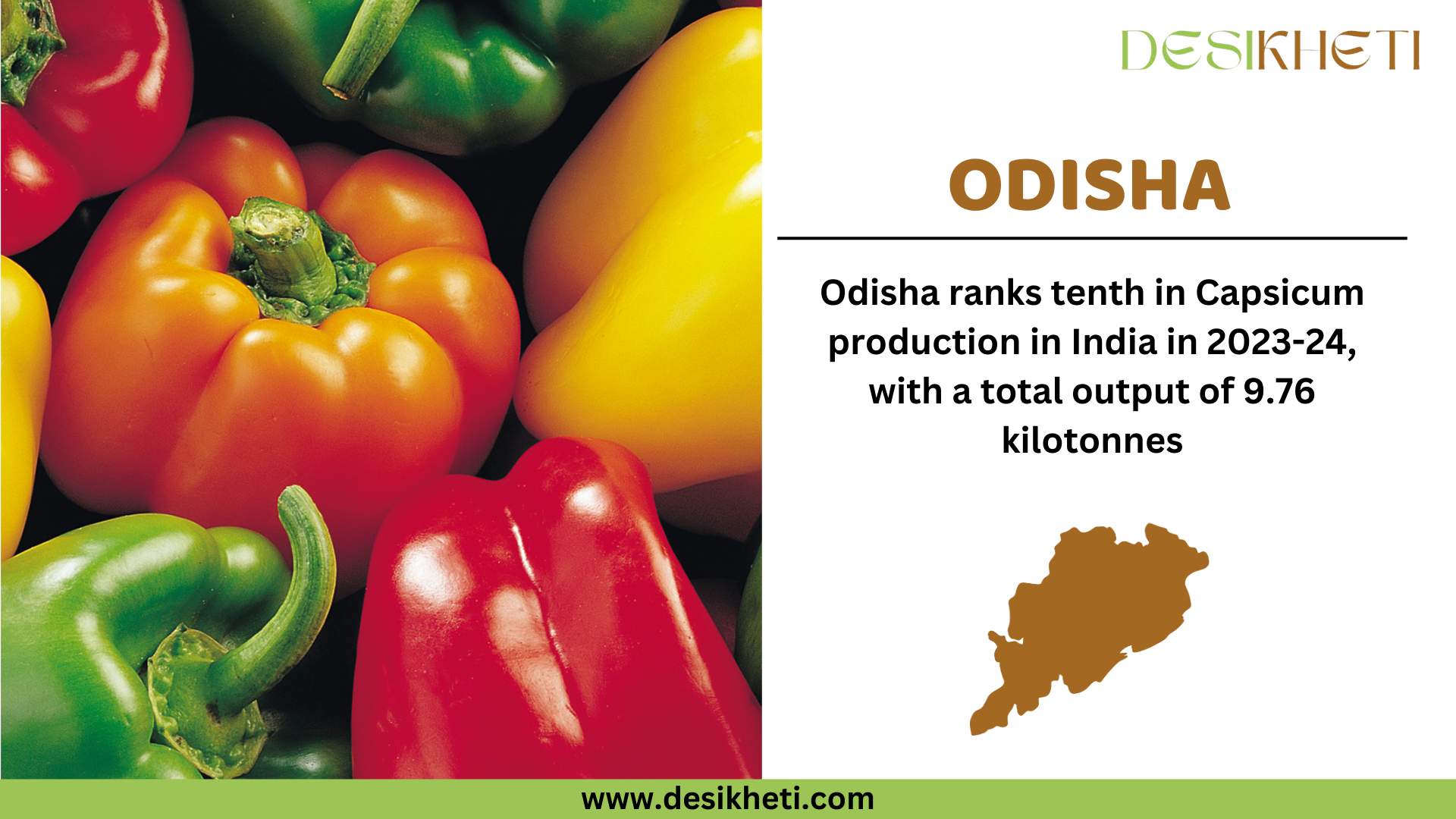  Odisha ranks tenth in capsicum production in India for 2023-24, with a total output of 9.76 kilotonnes. The image features vibrant red, yellow, orange, and green capsicums in the background. On the right side, "ODISHA" is written in bold brown text, followed by the production ranking and output details in black text. Below, there is a brown silhouette map of Odisha. The Desikheti logo is placed at the top right corner, and the website URL "www.desikheti.com" is displayed at the bottom on a green banner.