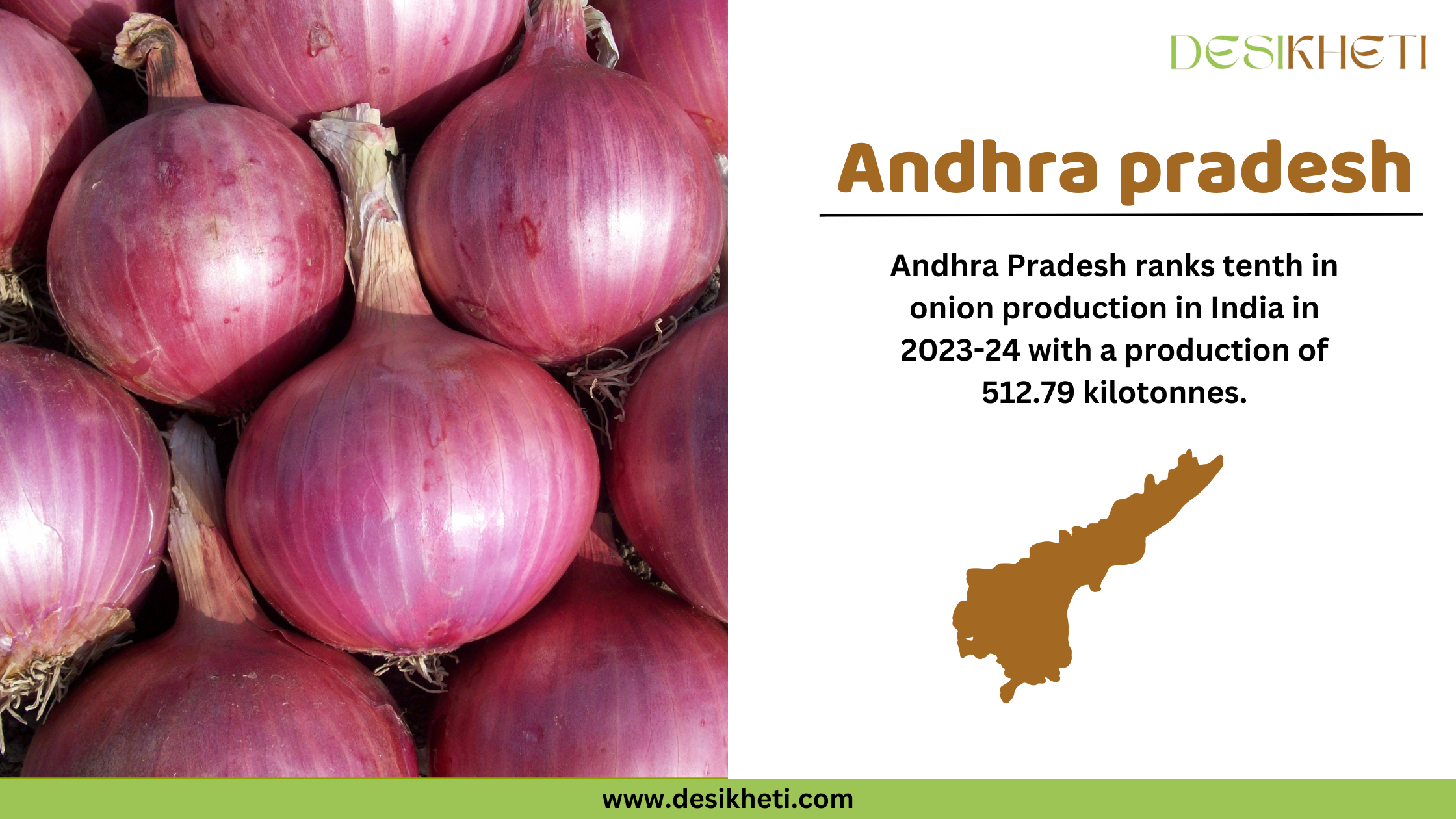 Fresh red onions with a glossy surface and dried stems stacked together. On the right side, text reads "Andhra Pradesh" in bold brown letters. Below, it states "Andhra Pradesh ranks tenth in onion production in India in 2023-24 with a production of 512.79 kilotonnes." A brown silhouette of Andhra Pradesh's map is placed below the text. The Desikheti logo is in the top right corner, and the website URL "www.desikheti.com" is displayed at the bottom.