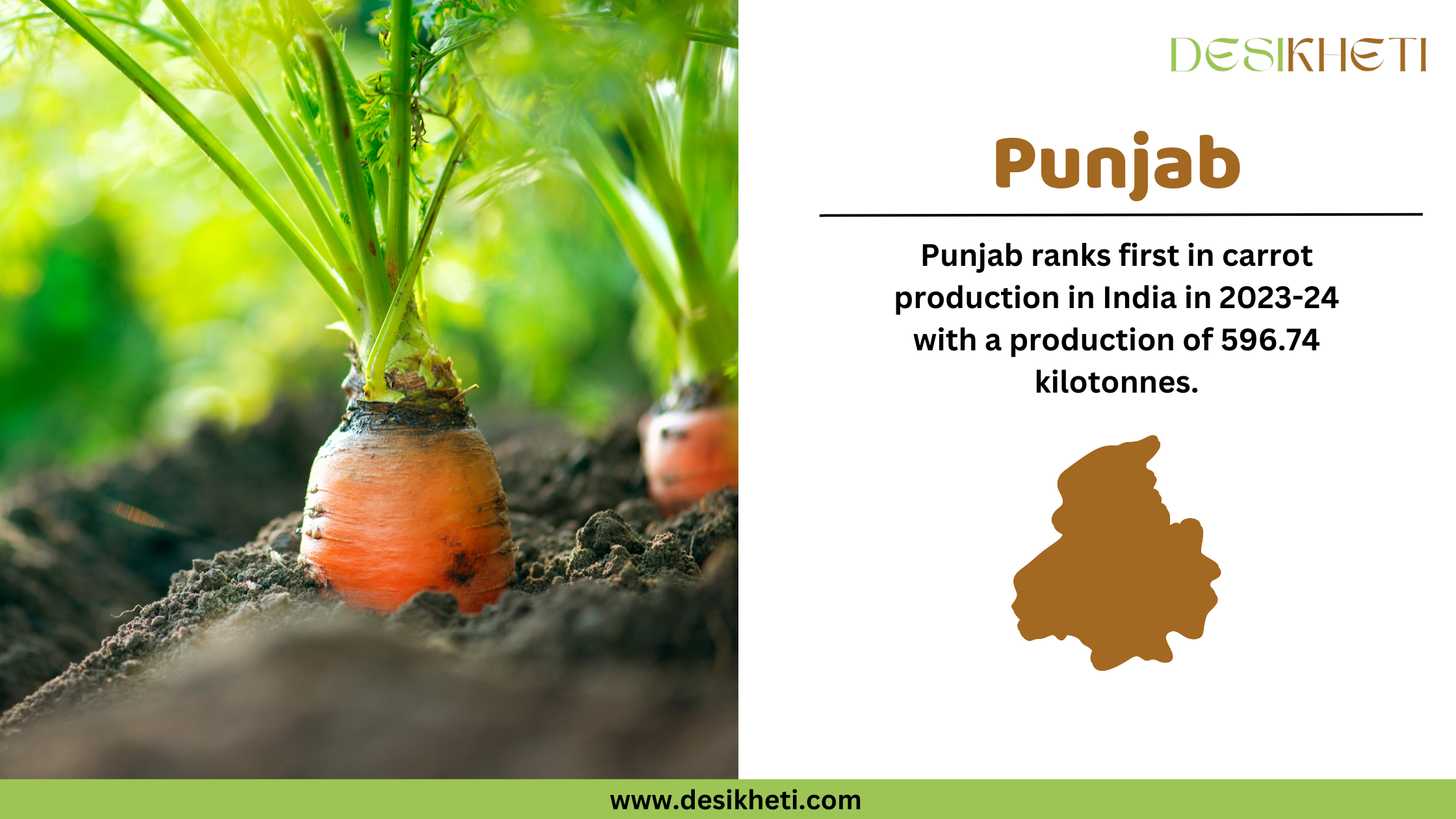 A Desikheti infographic highlighting Punjab’s carrot production. On the left, a close-up of fresh carrots growing in rich soil with green tops under natural sunlight. On the right, the text states, "Punjab ranks first in carrot production in India in 2023-24 with a production of 596.74 kilotonnes." Below the text, there is a brown silhouette of Punjab. The Desikheti logo is at the top, and the website URL "www.desikheti.com" is displayed at the bottom on a green strip.