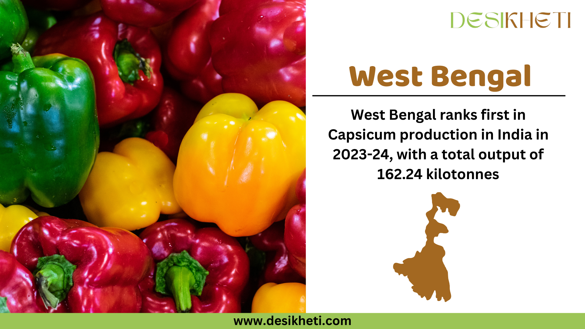 West Bengal ranks first in capsicum production in India for 2023-24, with a total output of 162.24 kilotonnes. The image showcases a variety of fresh capsicums in green, red, and yellow colors. On the right side, "West Bengal" is displayed in bold brown text, followed by the production ranking and output details in black text. Below, a brown silhouette map of West Bengal is present. The Desikheti logo appears at the top right corner, and the website URL "www.desikheti.com" is displayed at the bottom on a green banner.