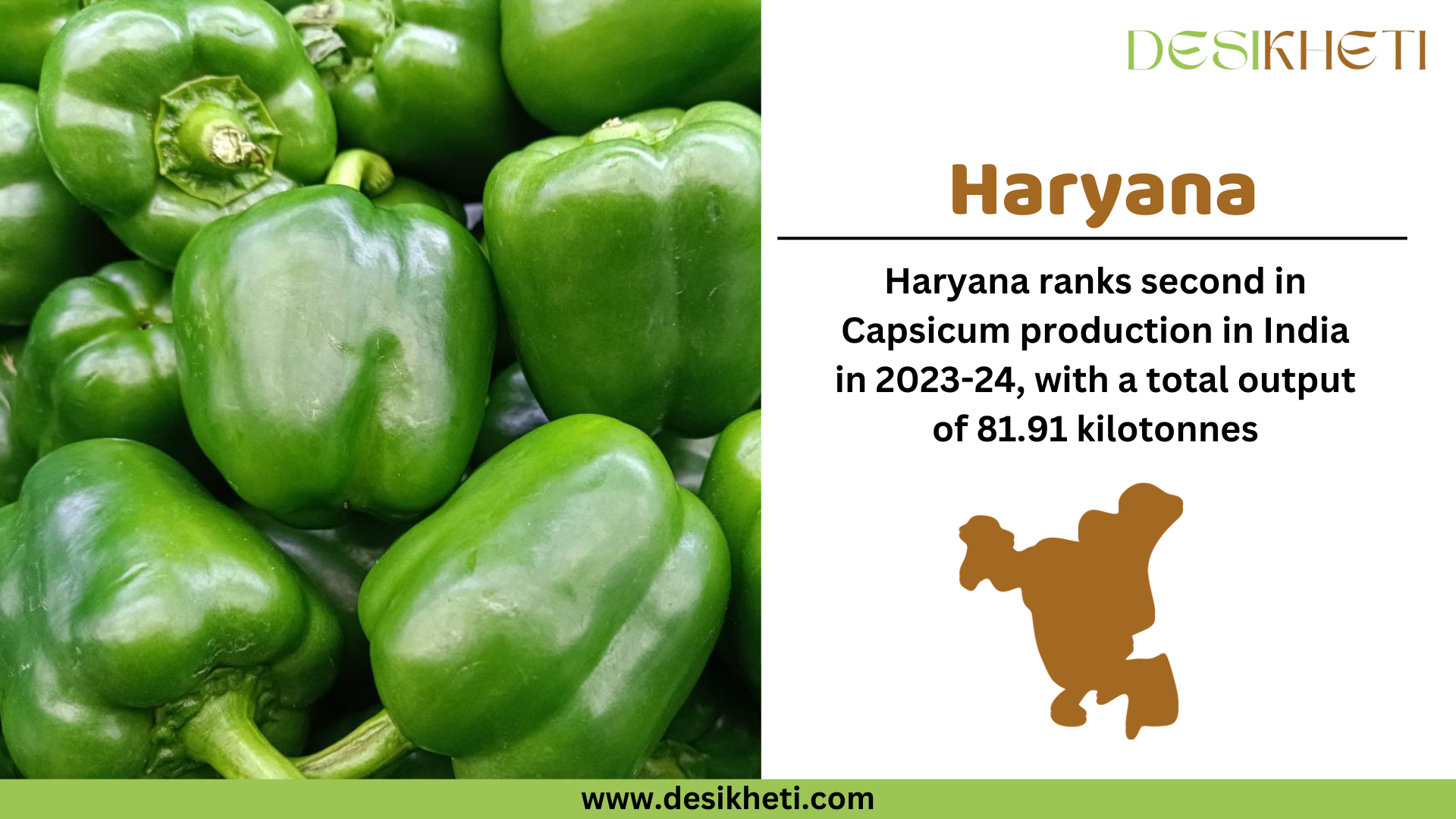 Haryana ranks second in capsicum production in India for 2023-24, with a total output of 81.91 kilotonnes. The image features a close-up of fresh green capsicums. On the right side, "Haryana" is displayed in bold brown text, followed by the production ranking and output details in black text. Below, a brown silhouette map of Haryana is present. The Desikheti logo appears at the top right corner, and the website URL "www.desikheti.com" is displayed at the bottom on a green banner.