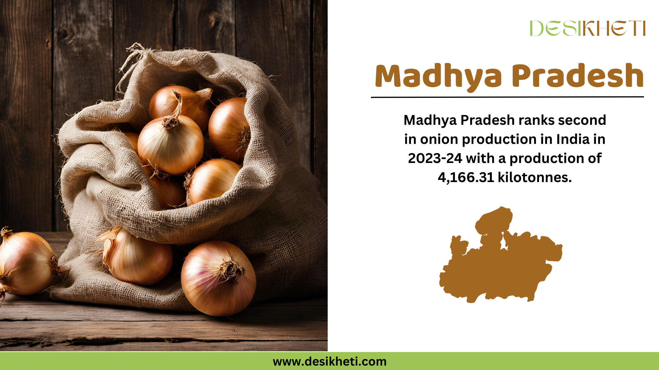 Madhya Pradesh ranks second in onion production in India for 2023-24, with a total output of 4,166.31 kilotonnes. The image features a burlap sack filled with golden onions spilling onto a rustic wooden surface on the left. On the right, the text highlights Madhya Pradesh’s position in onion cultivation, accompanied by a brown silhouette of the state's map. The "Desikheti" logo is positioned at the top right, and the website URL "www.desikheti.com" is displayed at the bottom. This image emphasizes Madhya Pradesh’s significant contribution to onion farming, aligning with Desikheti’s agricultural insights.