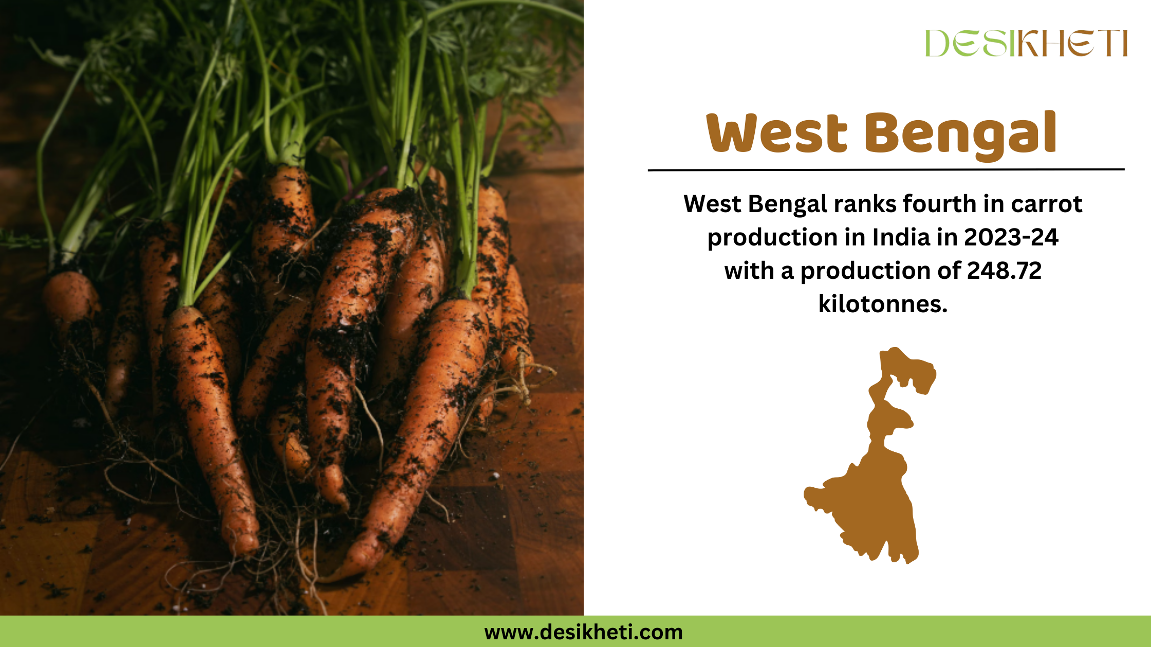 A Desikheti infographic highlighting West Bengal’s carrot production. On the left, freshly harvested carrots with soil on them are placed on a wooden surface, with green leaves still attached. On the right, the text states, "West Bengal ranks fourth in carrot production in India in 2023-24 with a production of 248.72 kilotonnes." Below the text, there is a brown silhouette of West Bengal. The Desikheti logo is positioned at the top, and the website URL "www.desikheti.com" is displayed at the bottom on a green strip.