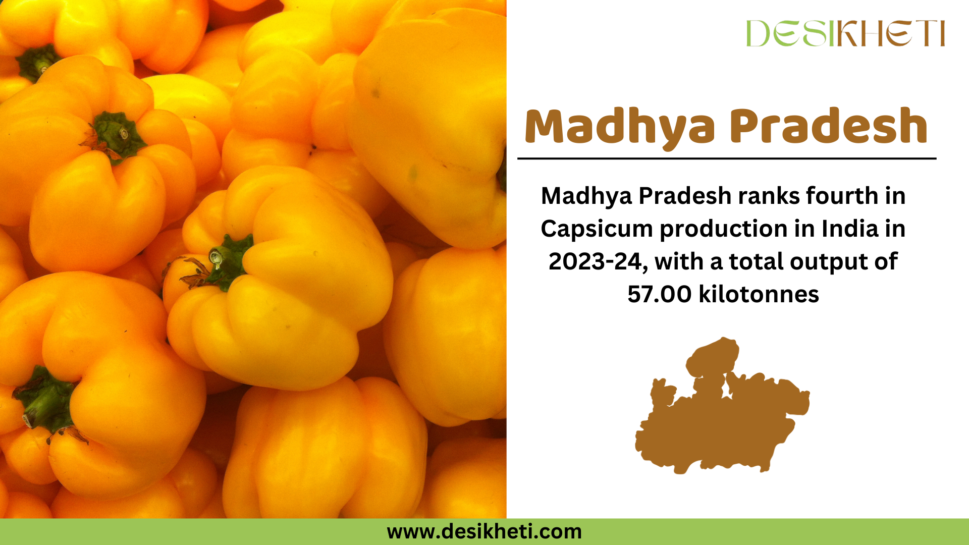 Madhya Pradesh ranks fourth in capsicum production in India for 2023-24, with a total output of 57.00 kilotonnes. The image features a close-up of fresh yellow capsicums. On the right side, "Madhya Pradesh" is displayed in bold brown text, followed by the production ranking and output details in black text. Below, a brown silhouette map of Madhya Pradesh is present. The Desikheti logo appears at the top right corner, and the website URL "www.desikheti.com" is displayed at the bottom on a green banner.