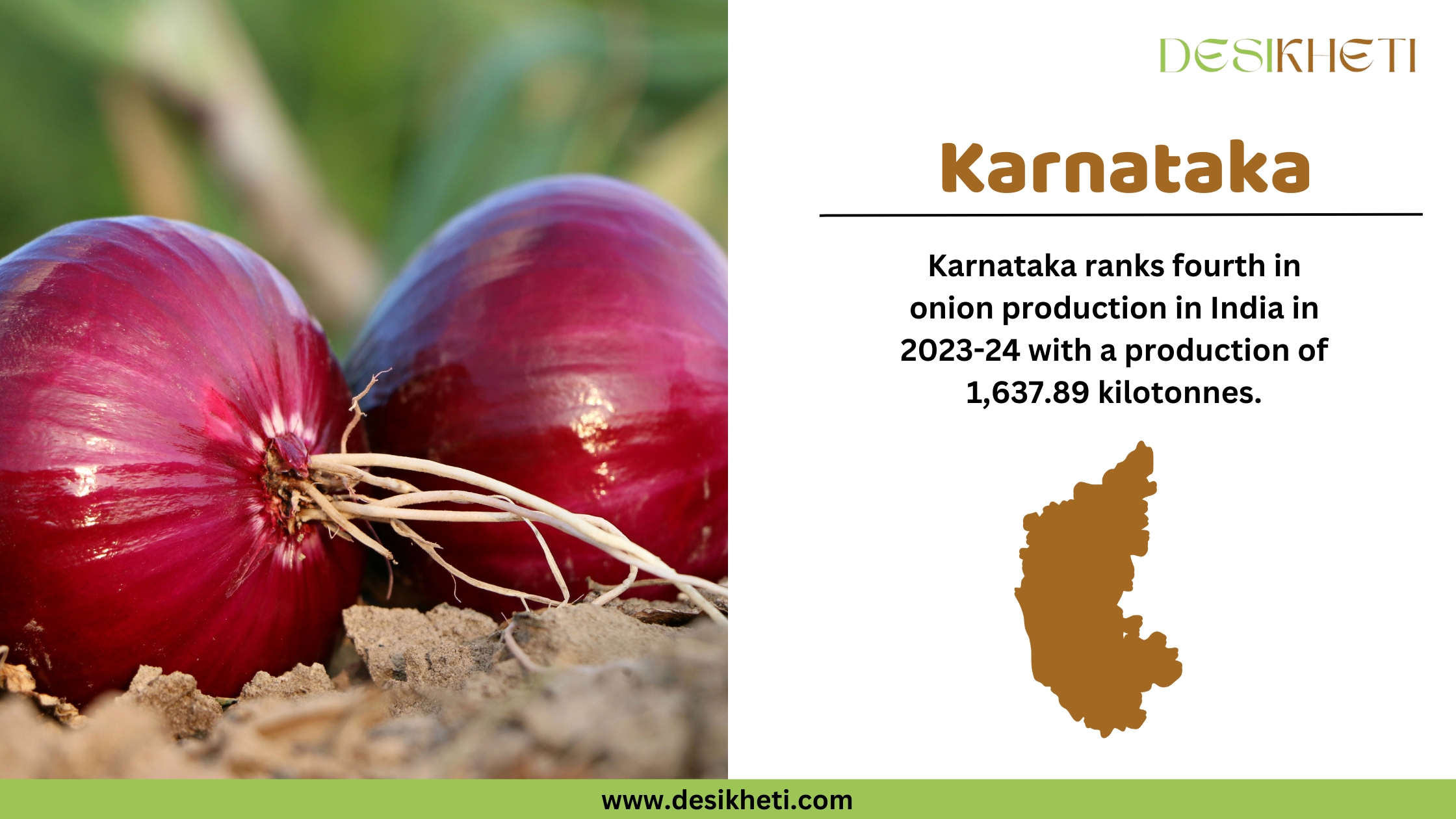 Karnataka ranks fourth in onion production in India for 2023-24, with a total output of 1,637.89 kilotonnes. The left side of the image showcases freshly harvested red onions resting on soil, highlighting their vibrant color and natural texture. On the right, the text emphasizes Karnataka’s contribution to onion farming, accompanied by a brown silhouette of the state's map. The "Desikheti" logo is positioned at the top right, and the website URL "www.desikheti.com" is displayed at the bottom. This image aligns with Desikheti’s agricultural insights, showcasing Karnataka’s role in India's onion production.