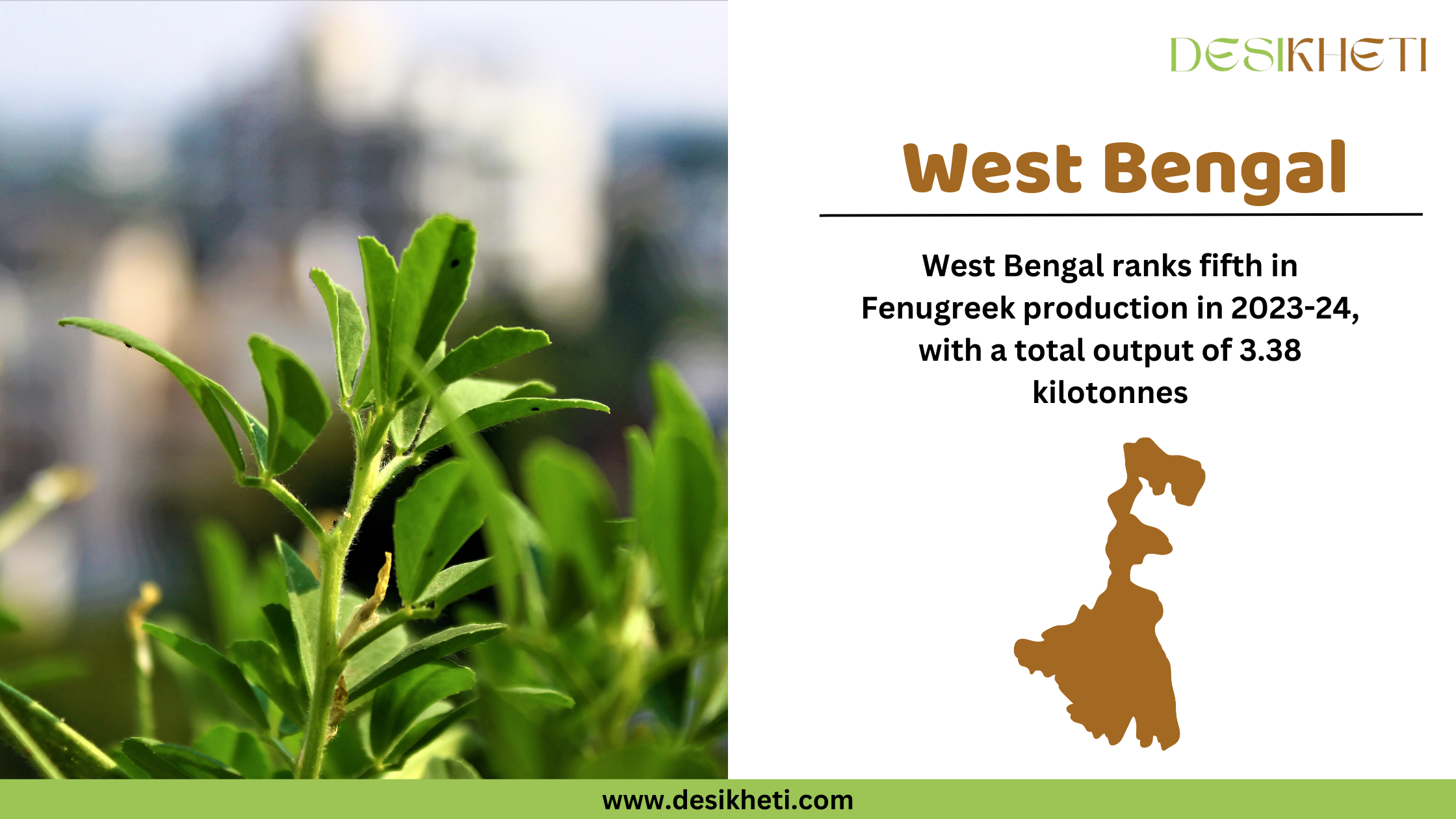 West Bengal ranks fifth in fenugreek production in 2023-24, with a total output of 3.38 kilotonnes. The image features a close-up of a green fenugreek plant with a blurred cityscape in the background on the left. On the right, the text "West Bengal" is displayed in brown, followed by the production ranking and output details in black text. Below the text, there is a brown silhouette map of West Bengal. The Desikheti logo is positioned at the top right corner, and the website URL "www.desikheti.com" is displayed at the bottom on a green strip.