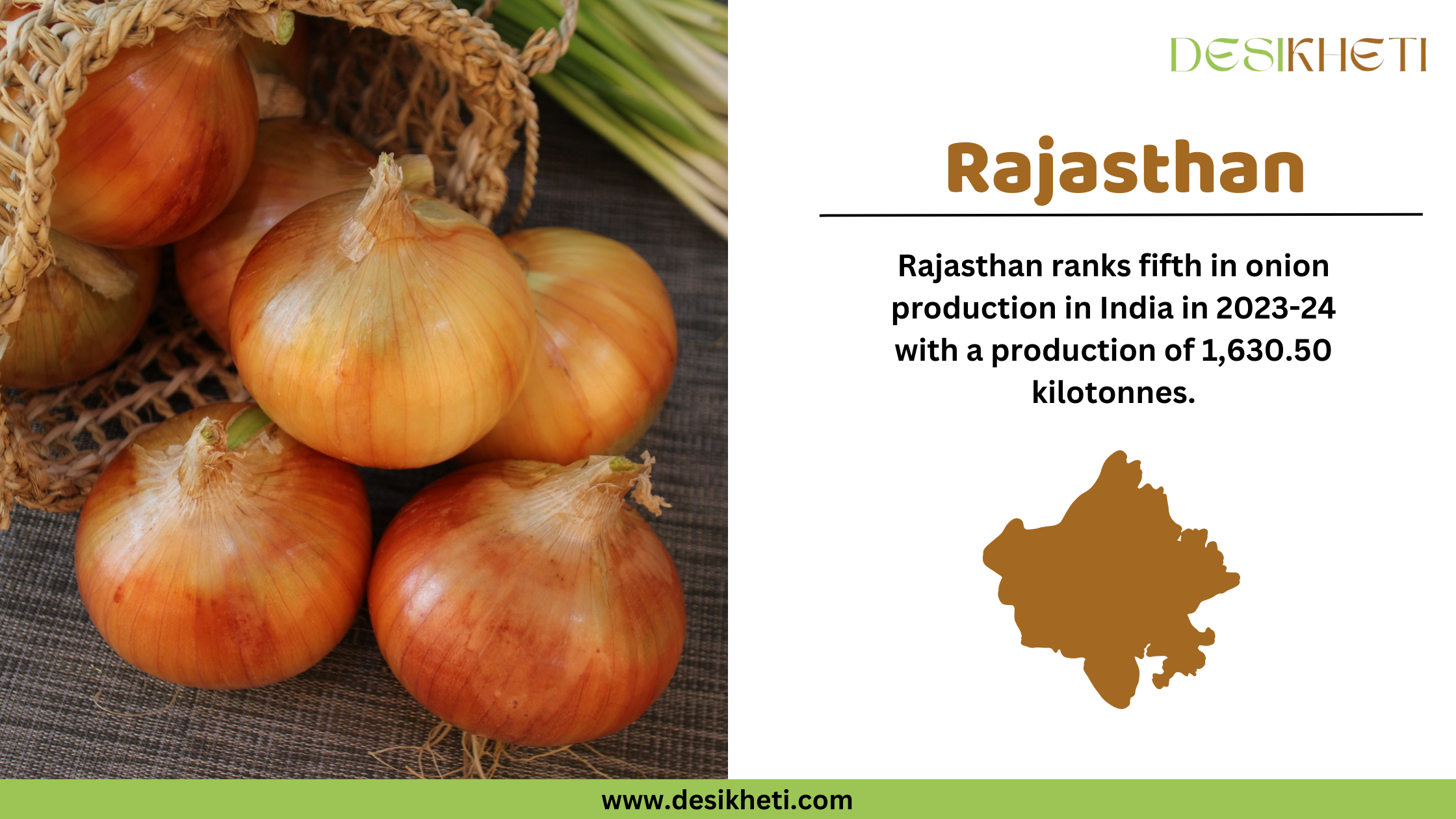 Rajasthan ranks fifth in onion production in India for 2023-24, with a total output of 1,630.50 kilotonnes. The left side of the image features freshly harvested onions spilling from a woven basket, highlighting their golden-brown color and natural texture. On the right, the text emphasizes Rajasthan’s contribution to onion farming, accompanied by a brown silhouette of the state's map. The "Desikheti" logo is positioned at the top right, and the website URL "www.desikheti.com" is displayed at the bottom. This image aligns with Desikheti’s agricultural insights, showcasing Rajasthan’s role in India's onion production.