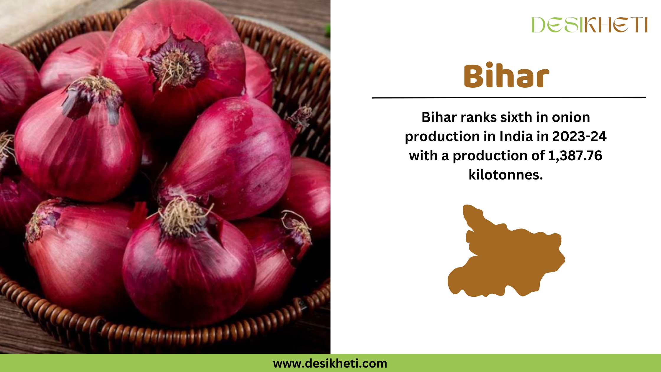 Bihar ranks sixth in onion production in India for 2023-24, with a total output of 1,387.76 kilotonnes. The left side of the image showcases a basket filled with freshly harvested red onions, emphasizing their rich color and texture. On the right, the text highlights Bihar’s contribution to onion farming, accompanied by a brown silhouette of the state's map. The "Desikheti" logo is positioned at the top right, and the website URL "www.desikheti.com" is displayed at the bottom. This image aligns with Desikheti’s agricultural insights, showcasing Bihar’s role in India's onion production.