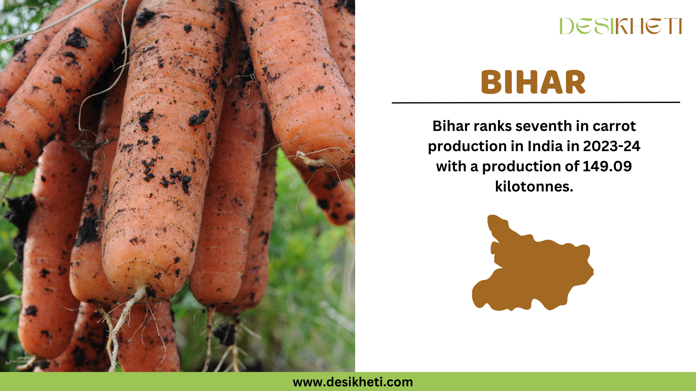 A Desikheti infographic showcasing Bihar’s carrot production. The left side features a close-up of freshly harvested carrots covered in soil, hanging together. The right side contains text stating, "Bihar ranks seventh in carrot production in India in 2023-24 with a production of 149.09 kilotonnes." Below the text, there is a brown silhouette of Bihar. The Desikheti logo is at the top, and the website URL "www.desikheti.com" is displayed at the bottom on a green strip.