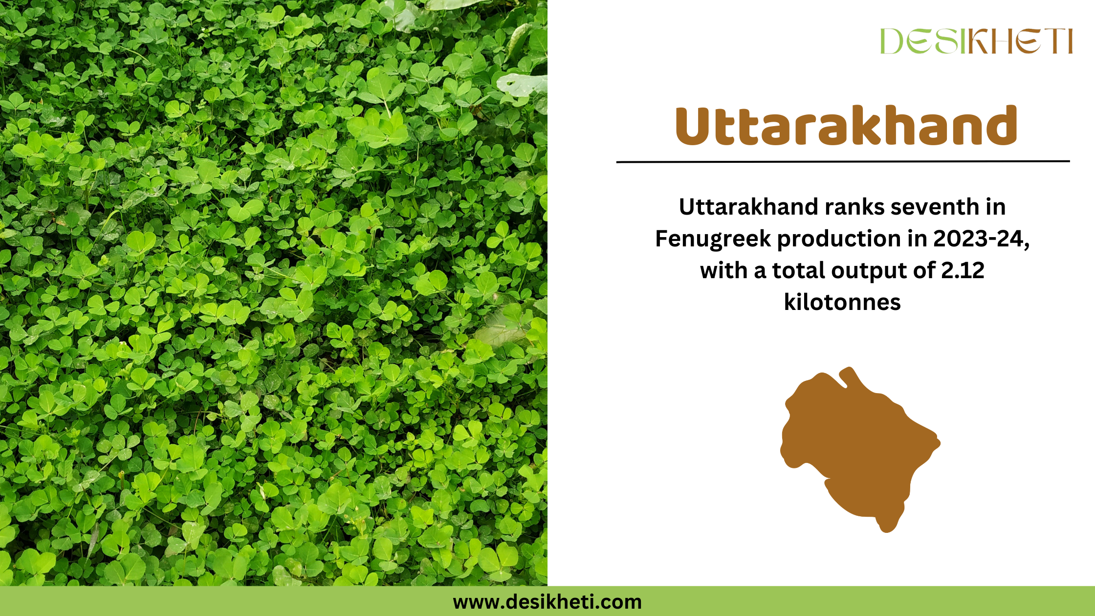 Uttarakhand ranks seventh in fenugreek production in 2023-24, with a total output of 2.12 kilotonnes. The image features a lush green fenugreek field on the left. On the right, the text "Uttarakhand" is displayed in brown, followed by the production ranking and output details in black text. Below the text, there is a brown silhouette map of Uttarakhand. The Desikheti logo is positioned at the top right corner, and the website URL "www.desikheti.com" is displayed at the bottom on a green strip.