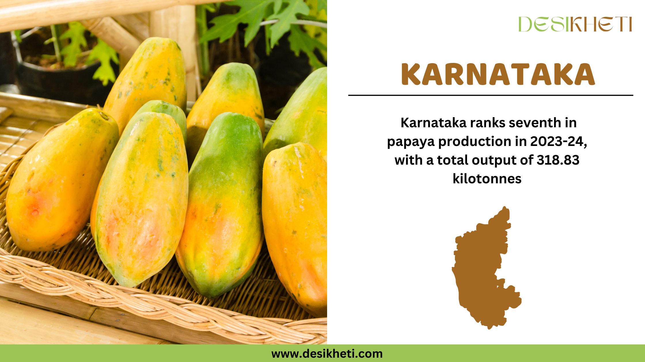 Karnataka ranks seventh in papaya production in 2023-24, with a total output of 318.83 kilotonnes. The image features a close-up of ripe and semi-ripe papayas arranged in a woven basket, set against a backdrop of green papaya plants. On the right side, "KARNATAKA" is displayed in bold brown font, along with a brown silhouette of the Karnataka state. The Desikheti logo is positioned in the top right corner, and the website www.desikheti.com is displayed at the bottom.