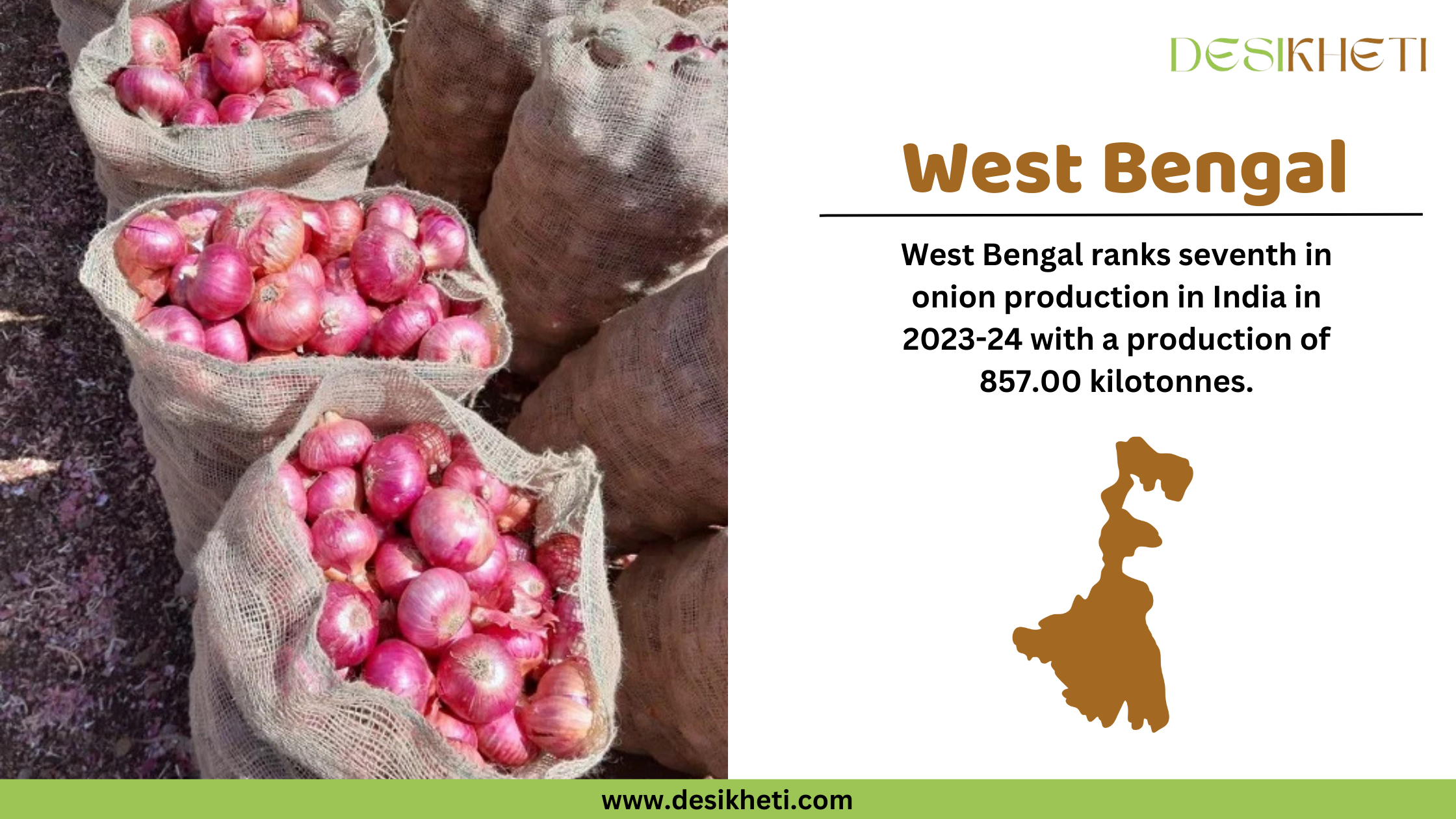 West Bengal ranks seventh in onion production in India for 2023-24, with a total output of 857.00 kilotonnes. The left side of the image features multiple jute sacks filled with freshly harvested red onions, placed on the ground. On the right, the text highlights West Bengal’s contribution to onion farming, accompanied by a brown silhouette of the state's map. The "Desikheti" logo is positioned at the top right, and the website URL "www.desikheti.com" is displayed at the bottom. This image aligns with Desikheti’s agricultural insights, showcasing West Bengal’s role in India's onion production.