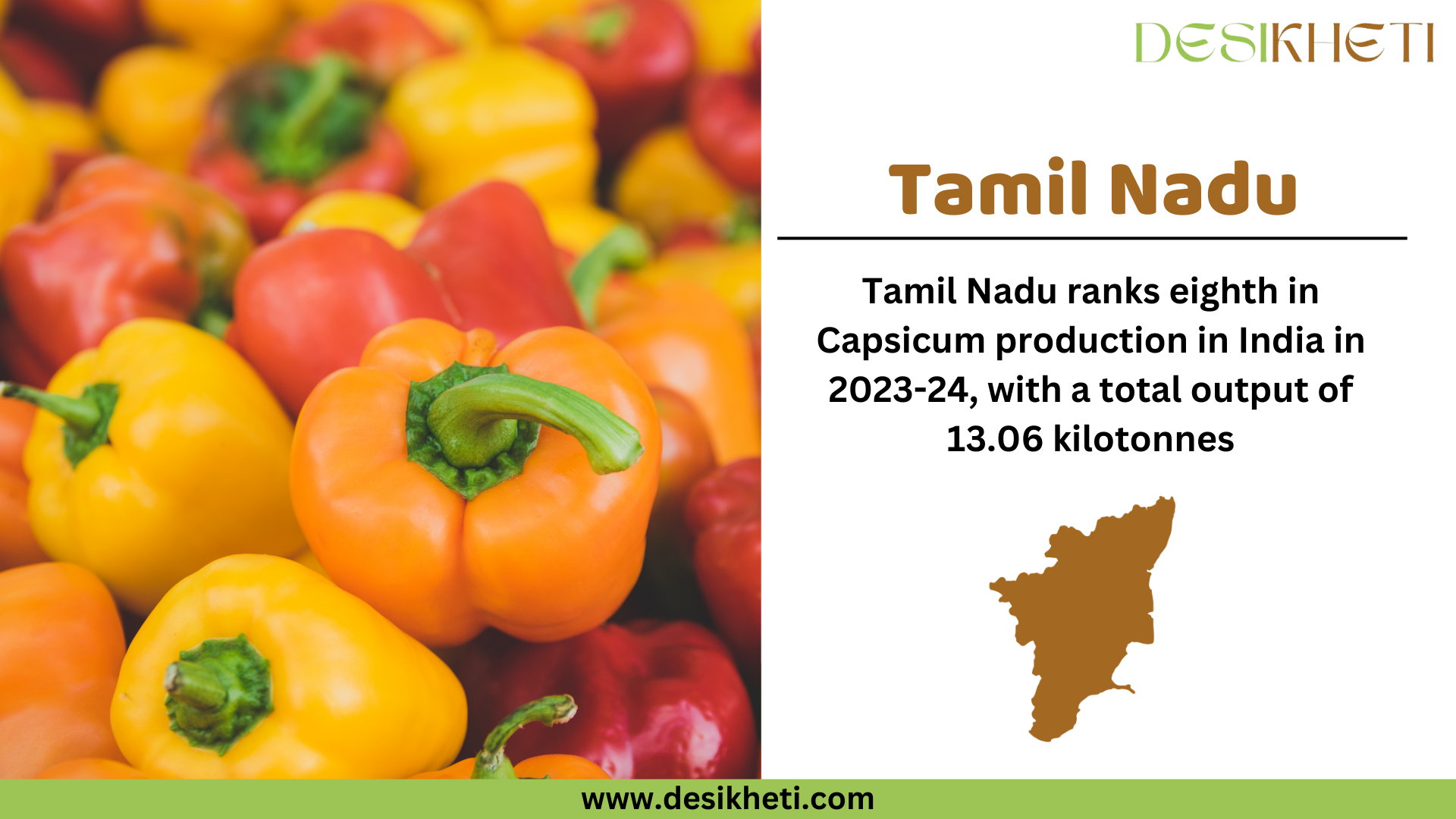 Tamil Nadu ranks eighth in capsicum production in India for 2023-24, with a total output of 13.06 kilotonnes. The image features a close-up of fresh yellow, orange, and red capsicums piled together. On the right side, "Tamil Nadu" is written in bold brown text, followed by the production ranking and output details in black text. Below, there is a brown silhouette map of Tamil Nadu. The Desikheti logo is placed at the top right corner, and the website URL "www.desikheti.com" is displayed at the bottom on a green banner.