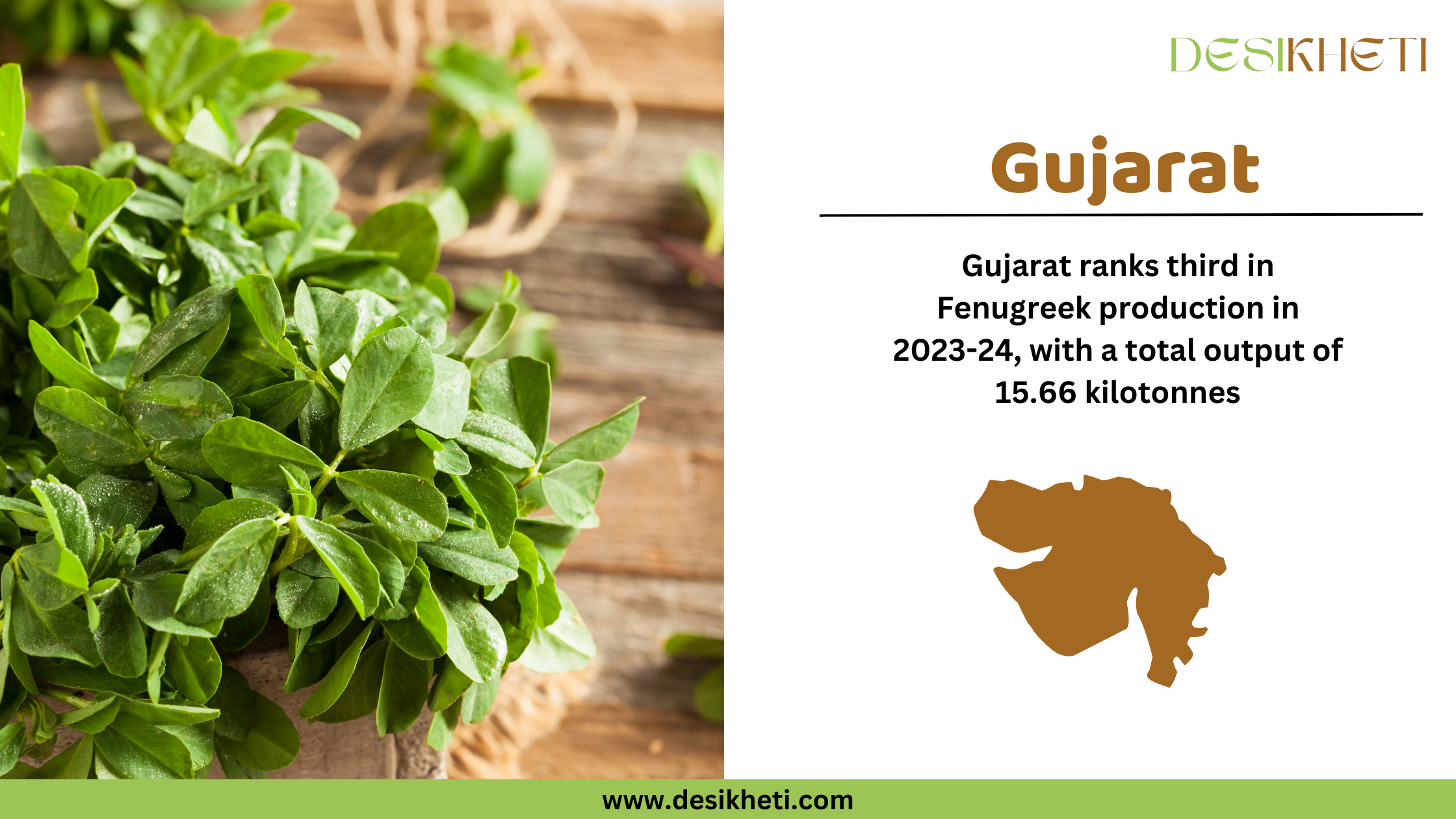 Gujarat ranks third in fenugreek production in 2023-24, with a total output of 15.66 kilotonnes. The image features fresh green fenugreek leaves with water droplets on them, placed on a rustic wooden surface with some blurred greenery in the background. On the right side, "Gujrat" is displayed in bold brown text, followed by production ranking and output details in black text. Below, a brown silhouette map of Gujarat is present. The Desikheti logo is at the top right, and the website URL "www.desikheti.com" is displayed at the bottom on a green strip.