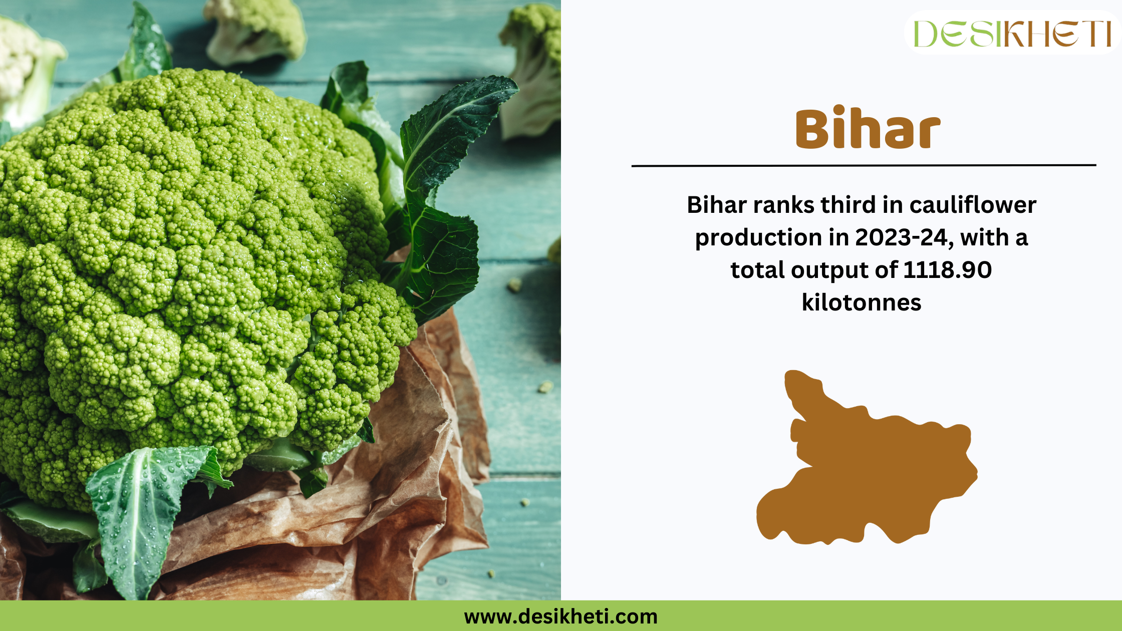 Bihar ranks third in cauliflower production in 2023-24, with a total output of 1118.90 kilotonnes. The image features a fresh green cauliflower with dewdrops on its leaves, placed on brown paper against a rustic wooden background. On the right, a white section contains the text "Bihar" in bold brown letters, followed by production statistics in black font. Below the text, there is a brown silhouette of Bihar’s map. The Desikheti logo is positioned in the top right corner, and the website URL "www.desikheti.com" is displayed at the bottom on a green strip.