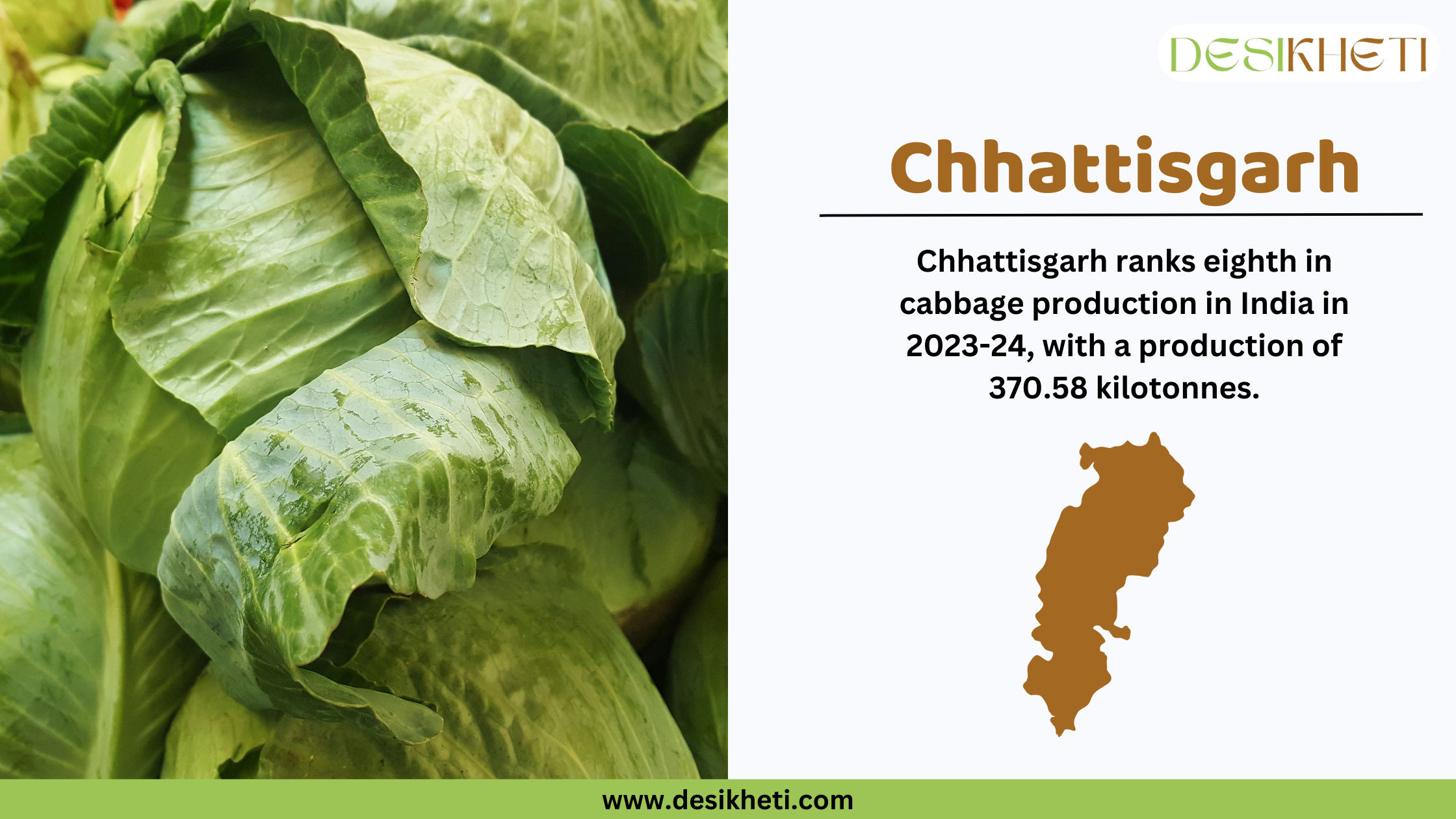 Chhattisgarh ranks eighth in cabbage production in India in 2023-24, with a total output of 370.58 kilotonnes. The banner features fresh, green cabbages on the left side, showcasing their natural texture and color. On the right, the Desikheti logo is placed at the top, followed by bold text displaying "Chhattisgarh" and its cabbage production ranking. Below the text, a brown silhouette of Chhattisgarh's map visually represents the state. The website URL, "www.desikheti.com," is displayed at the bottom, directing users to more agricultural insights.