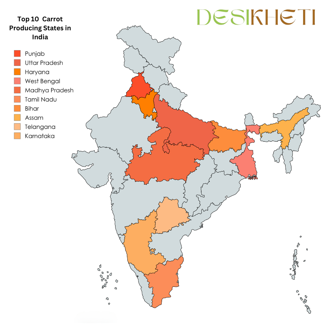 A map of India highlighting the top 10 carrot-producing states in different shades of orange and red. The title reads "Top 10 Carrot Producing States in India," with a legend listing Punjab, Uttar Pradesh, Haryana, West Bengal, Madhya Pradesh, Tamil Nadu, Bihar, Assam, Telangana, and Karnataka. The Desikheti logo is displayed in the top right corner. The highlighted states indicate major carrot production regions across India.