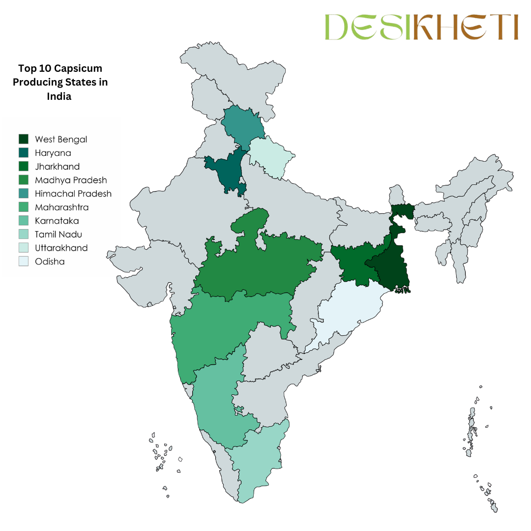 Map of India highlighting the top 10 capsicum-producing states. The title at the top left reads "Top 10 Capsicum Producing States in India." The Desikheti logo is positioned at the top right. A color-coded legend lists the states: West Bengal, Haryana, Jharkhand, Madhya Pradesh, Himachal Pradesh, Maharashtra, Karnataka, Tamil Nadu, Uttarakhand, and Odisha, each shaded in different shades of green. The remaining states are in light gray. The highlighted states indicate their contribution to capsicum production in India.