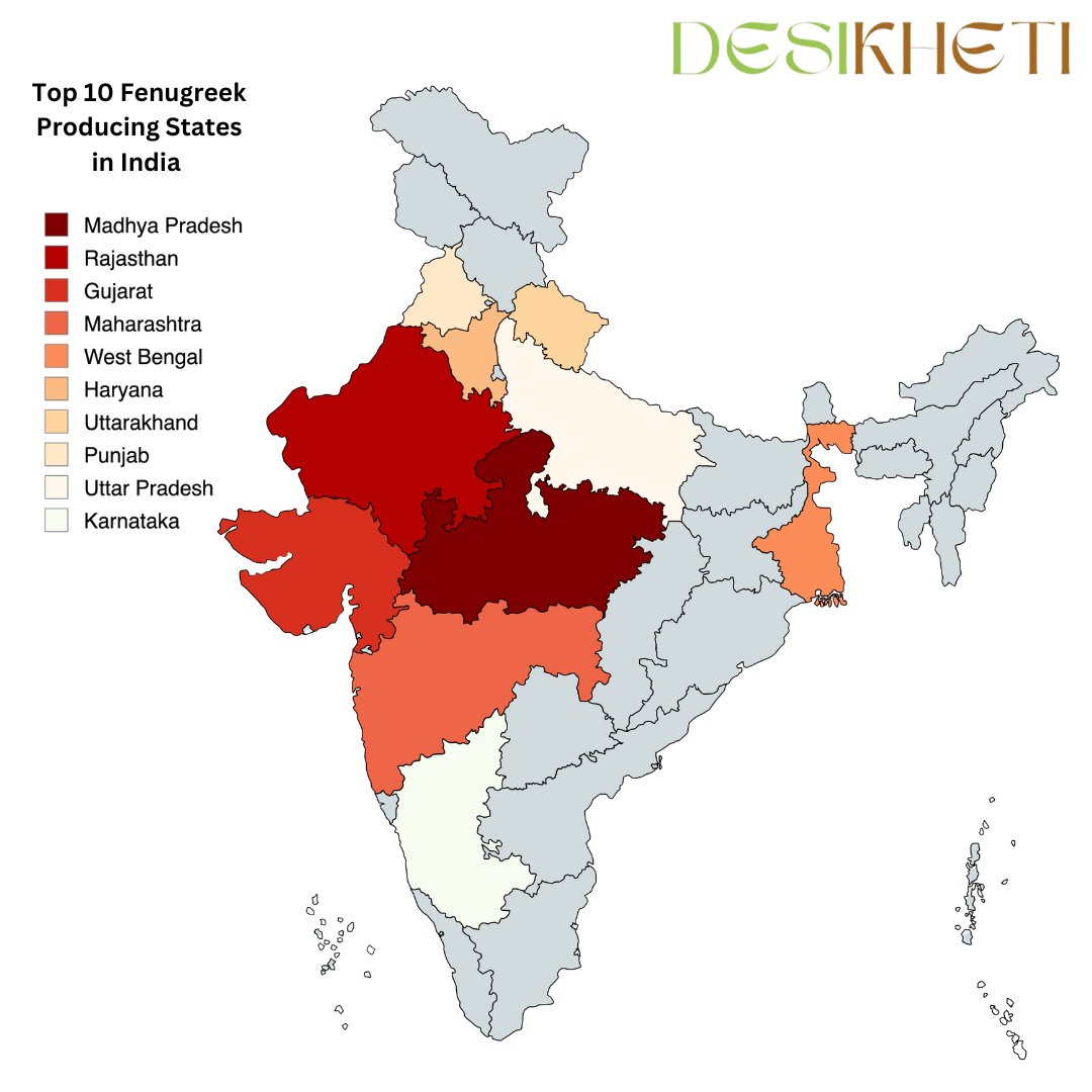 Top 10 fenugreek-producing states in India are highlighted on a color-coded map. The states include Madhya Pradesh, Rajasthan, Gujarat, Maharashtra, West Bengal, Haryana, Uttarakhand, Punjab, Uttar Pradesh, and Karnataka. Madhya Pradesh and Rajasthan are marked with the darkest shades, indicating the highest production. The title "Top 10 Fenugreek Producing States in India" is displayed on the top left, and the Desikheti logo is positioned on the top right. A legend on the left side shows different shades representing production levels.