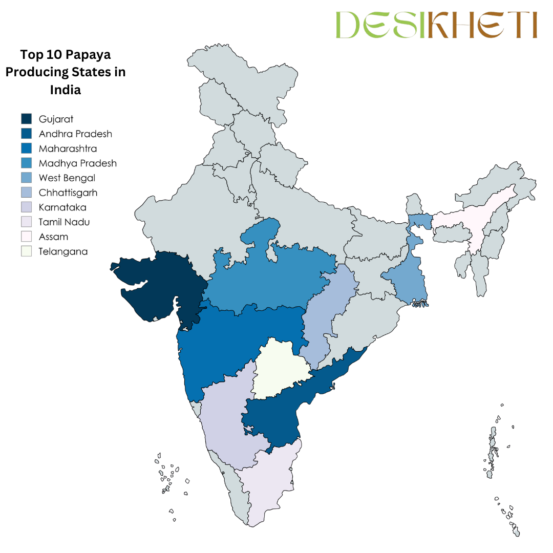 Top 10 papaya-producing states in India. The image features a color-coded map of India highlighting the leading states in papaya production, with each state represented in varying shades of blue. A legend on the left lists the top 10 papaya-producing states, including Gujarat, Andhra Pradesh, Maharashtra, Madhya Pradesh, West Bengal, Chhattisgarh, Karnataka, Tamil Nadu, Assam, and Telangana. The Desikheti logo is displayed in the top right corner.