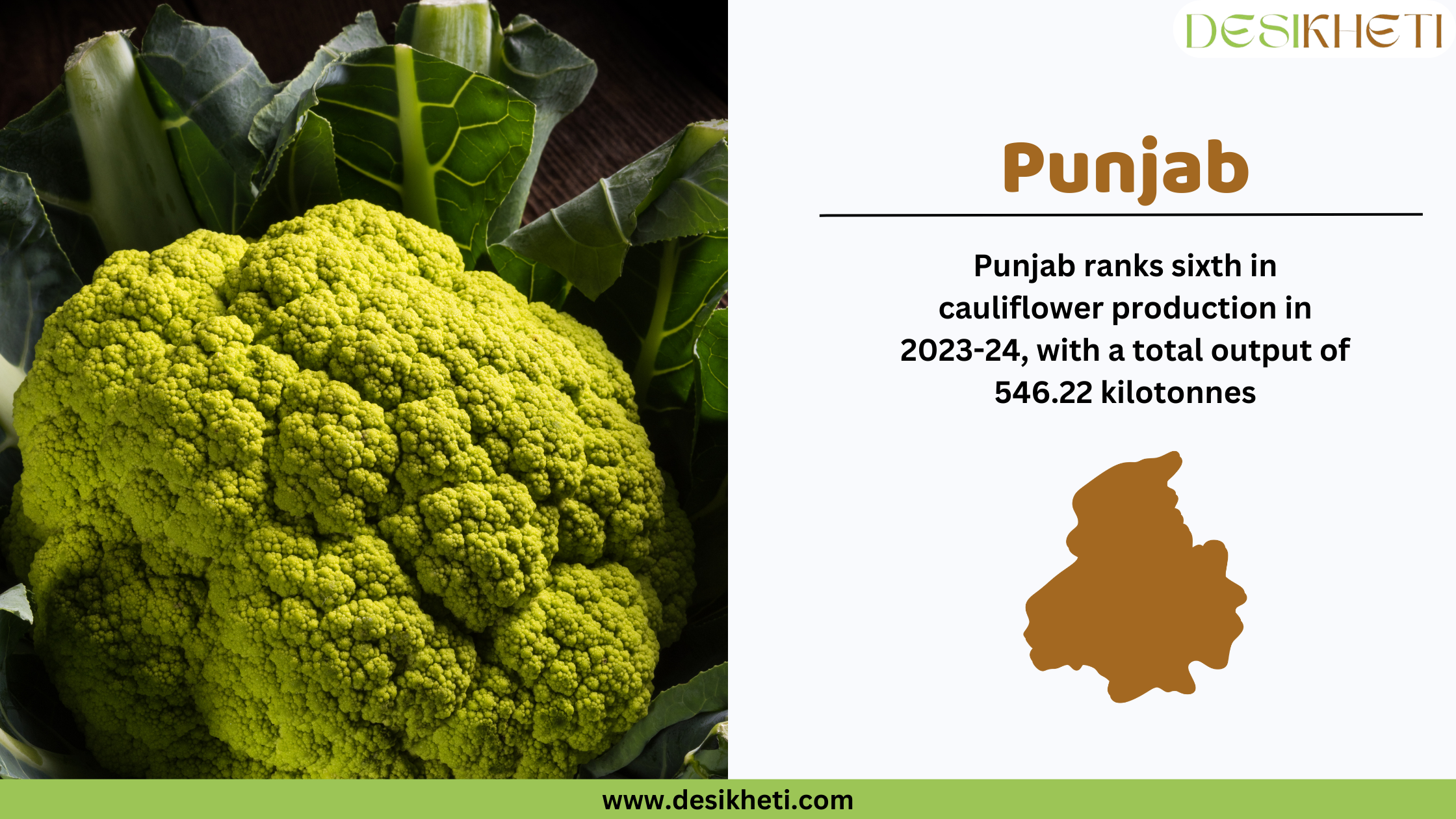 Punjab ranks sixth in cauliflower production in 2023-24, with a total output of 546.2 kilotonnes. The image features a vibrant green cauliflower head with tightly packed florets and large, fresh green leaves in the background. On the right, a white section contains the text "Punjab" in bold brown letters, followed by production statistics in black font. Below the text, there is a brown silhouette of Punjab’s map. The Desikheti logo is positioned in the top right corner, and the website URL "www.desikheti.com" is displayed at the bottom on a green strip.