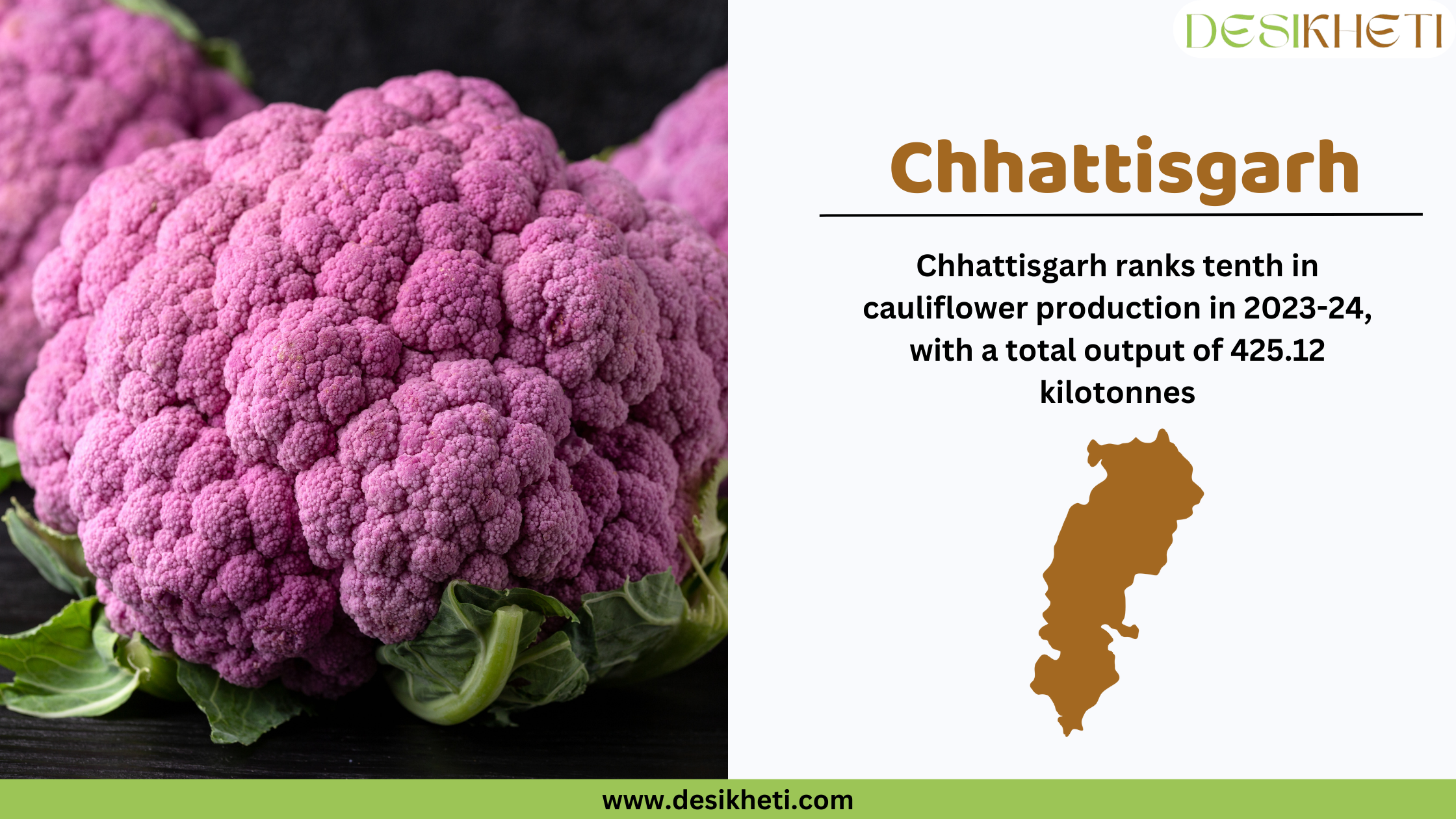 Chhattisgarh ranks tenth in cauliflower production in 2023-24, with a total output of 425.1 kilotonnes. The image features vibrant purple cauliflowers with green leaves placed on a dark surface. On the right side, a white section displays the text "Chhattisgarh" in bold brown letters, followed by cauliflower production statistics in black font. Below the text, there is a brown silhouette of Chhattisgarh’s map. The Desikheti logo is placed in the top right corner, and the website URL "www.desikheti.com" is displayed at the bottom on a green strip.







